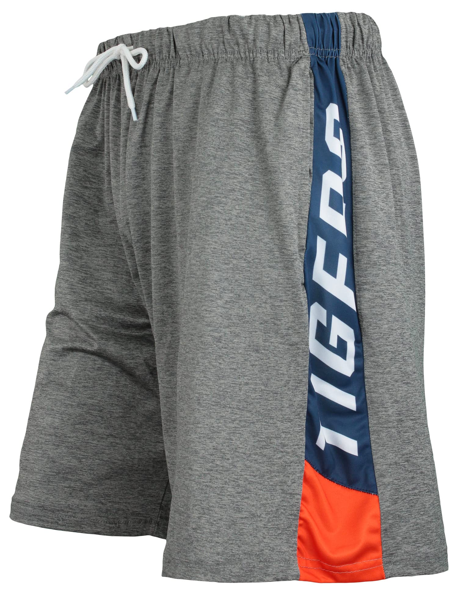 Zubaz MLB Men's Detroit Tigers Tonal Gray Space Dye W/Solid Stripe Short Large