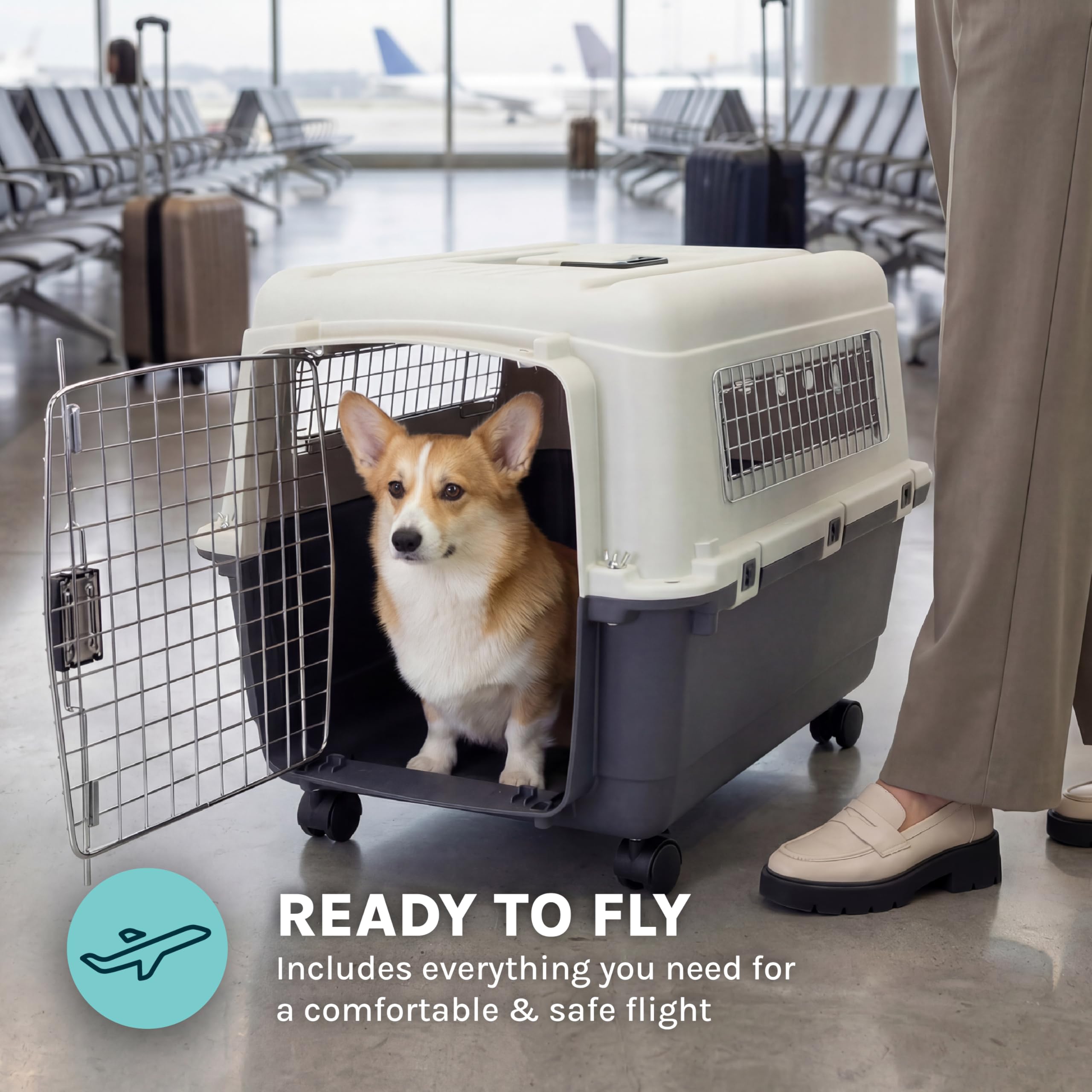 SportPet Designs Plastic Kennels Rolling Plastic Wire Door Travel
