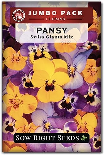 Sow Right Seeds - Swiss Giants Mezcla de semillas de flores de pensamiento para plantar - 1100 semillas de 0.05 onzas - Mezcla colorida para plantar