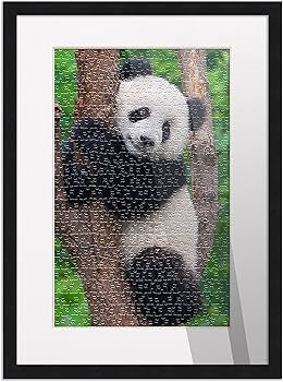 Amazon.com - 22x29 Frame Matted to Display 20x27 Puzzle with Peel