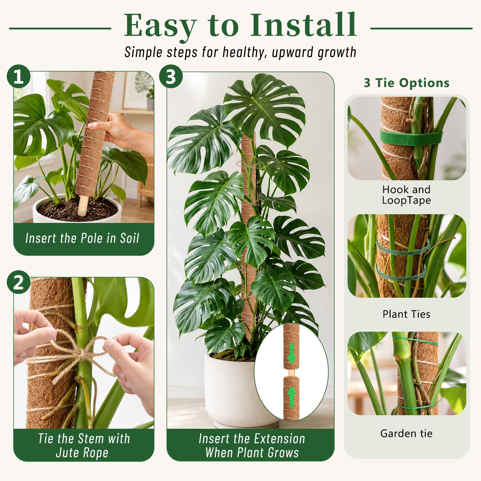 Fabulas Moss Pole - 48 Inch for Monstera & More -7 Fabulas Moss Pole - 48 Inch for Monstera & More -7