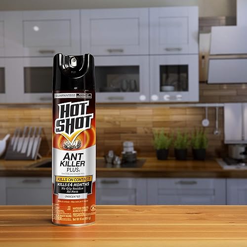 Miniatura 4 de Hot Shot Ant Killer Plus Aerosol sin perfume mata en contacto