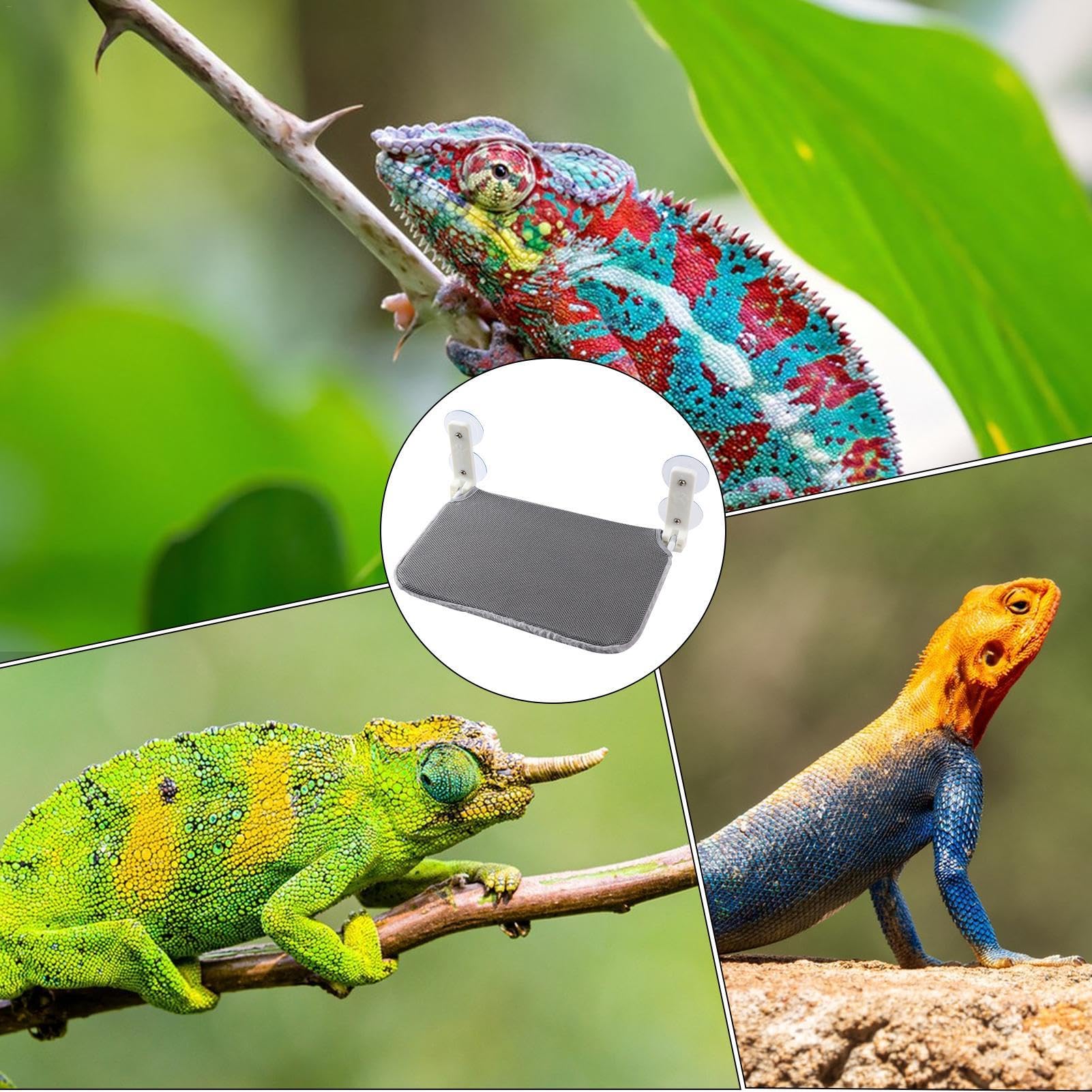 Hamaca de dragón barbudo | Percha plegable con ventosa para reptiles, hamaca gris con cremallera, cama que ahorra espacio para descansar, dormir y jugar