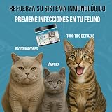 Ver la foto 4
