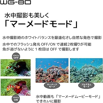 product-image-6