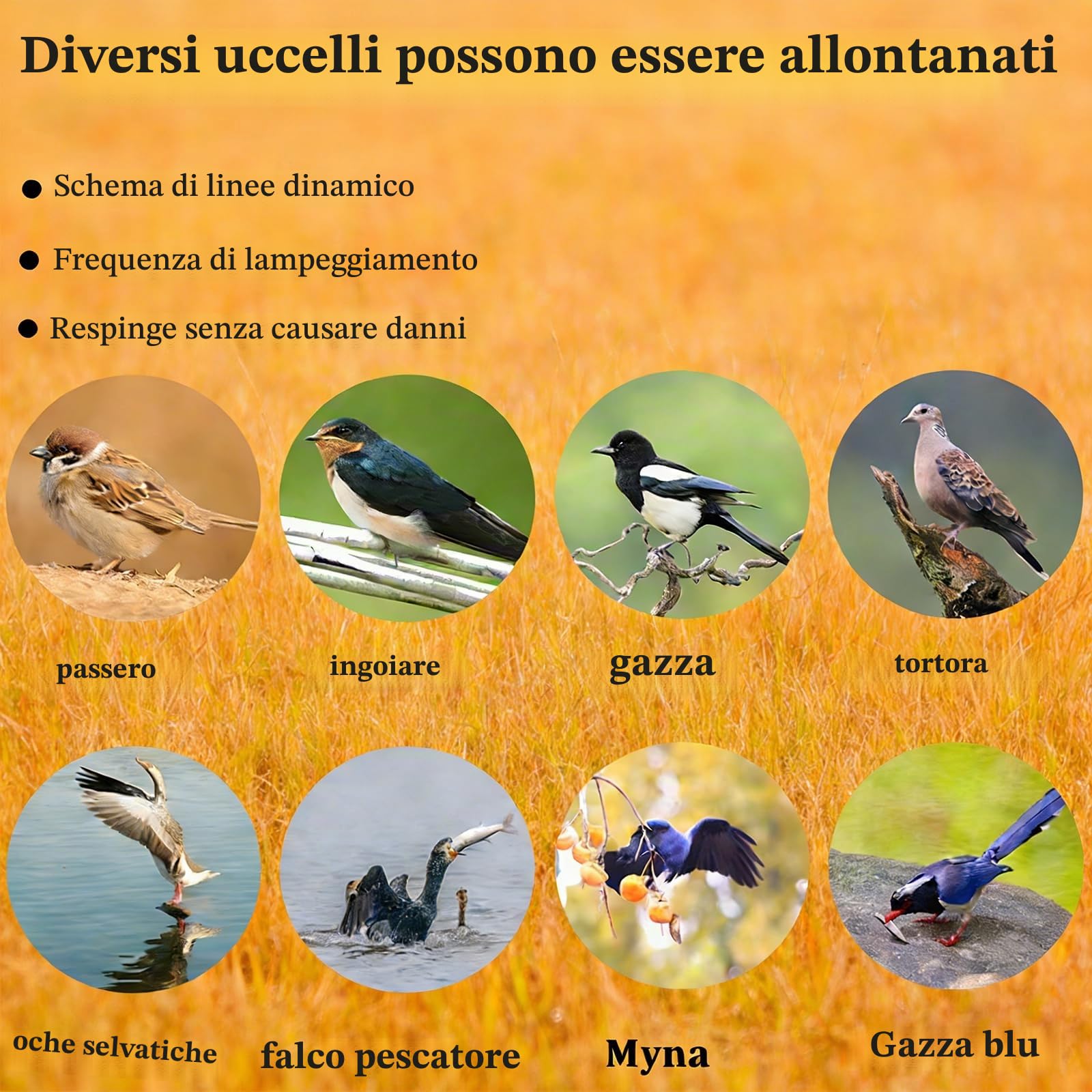 Dissuasore Laser per Uccelli da Esterno, Scaccia-Uccelli Agricolo con Rotazione di 120°, Dispositivi Anti-Uccelli Impermeabili, con Telecomando a Timer a Radiofrequenza