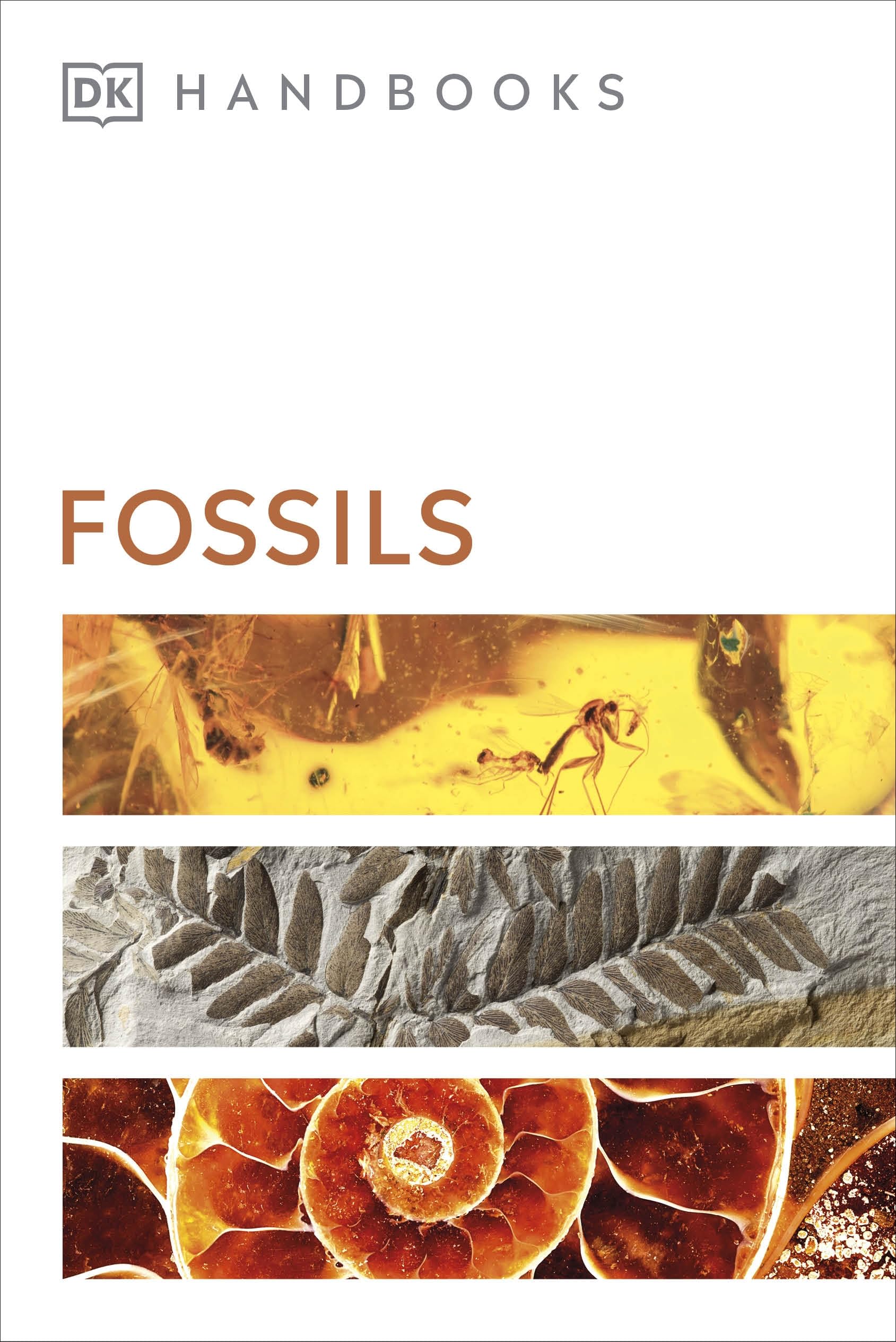 DKFossils (DK Handbooks)