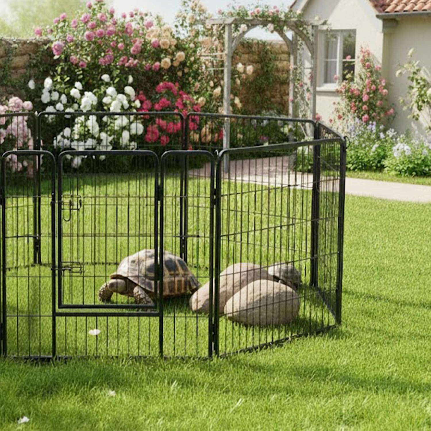 AQPET Recinto Modulare 80x80 cm per Cani, Gatti, Conigli e Roditori - 8 Pannelli Resistenti per Interno ed Esterno, Sicuro e Facile da Montare, Ideale per Casa e Giardino
