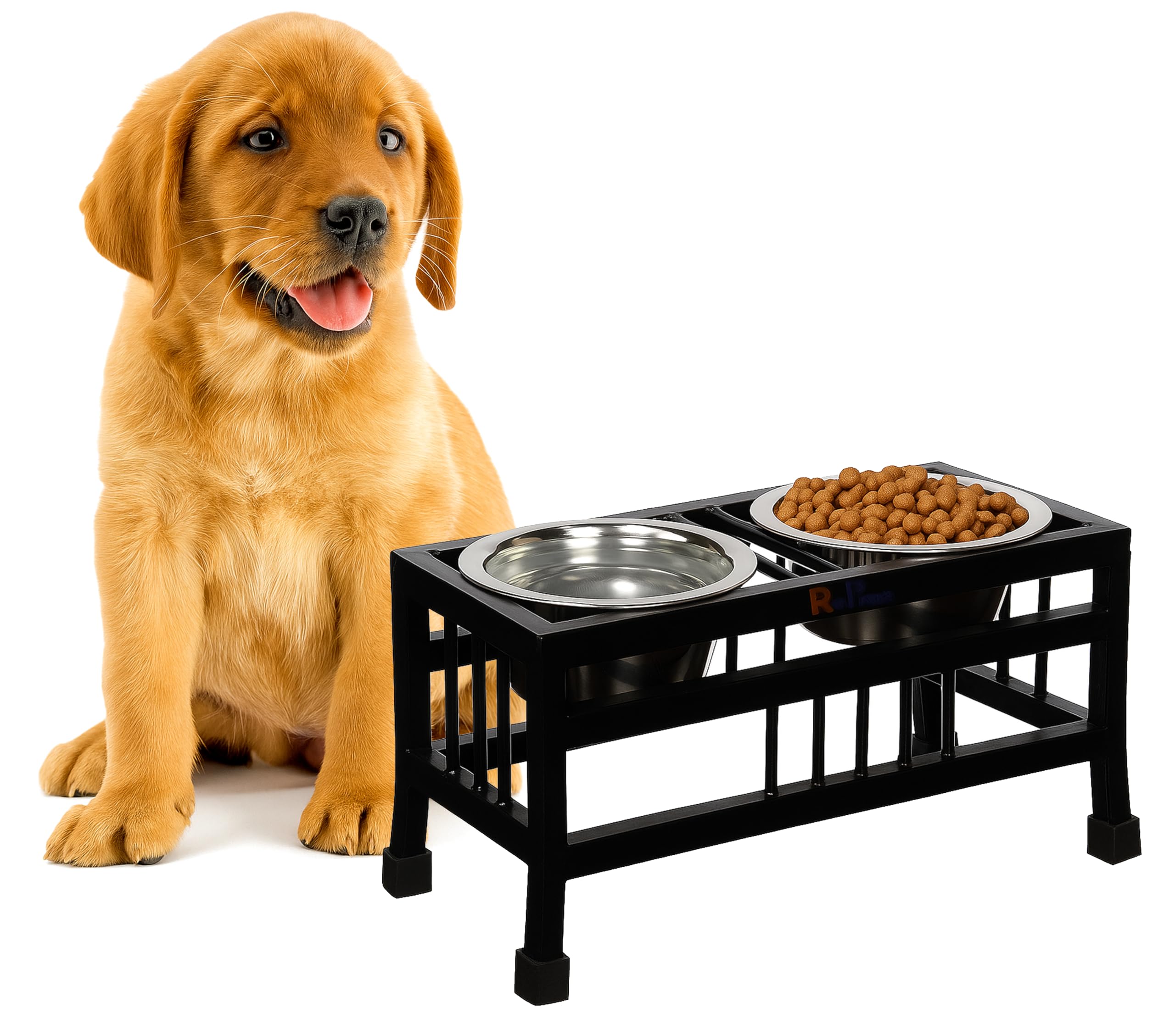 RvPaws Pets Double Elevated Feeding and Watering Stand Bowls | Stainless Steel Bowl Non-Slip Iron Stand | Feeder Bowls for Puppies and Small Dogs (Small - 350ML X 2 Bowl)