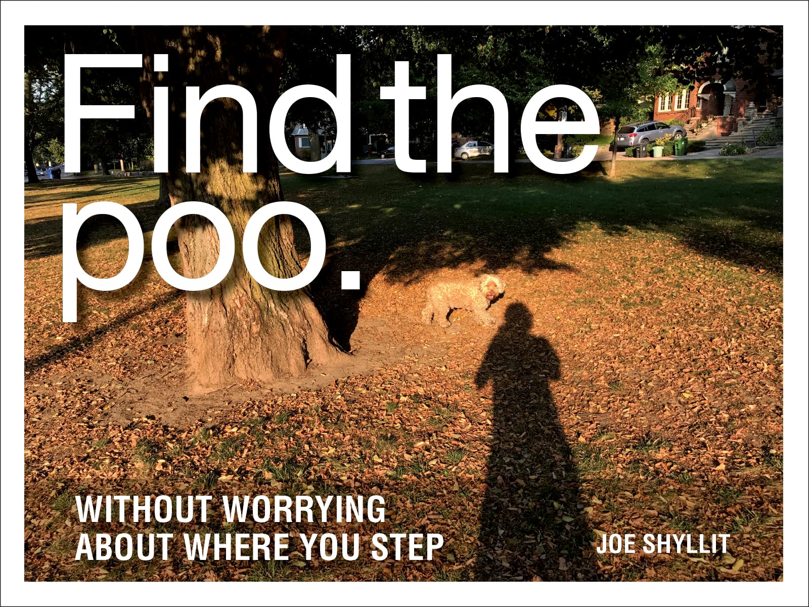 Find the Poo: Without Worrying About Where You Step