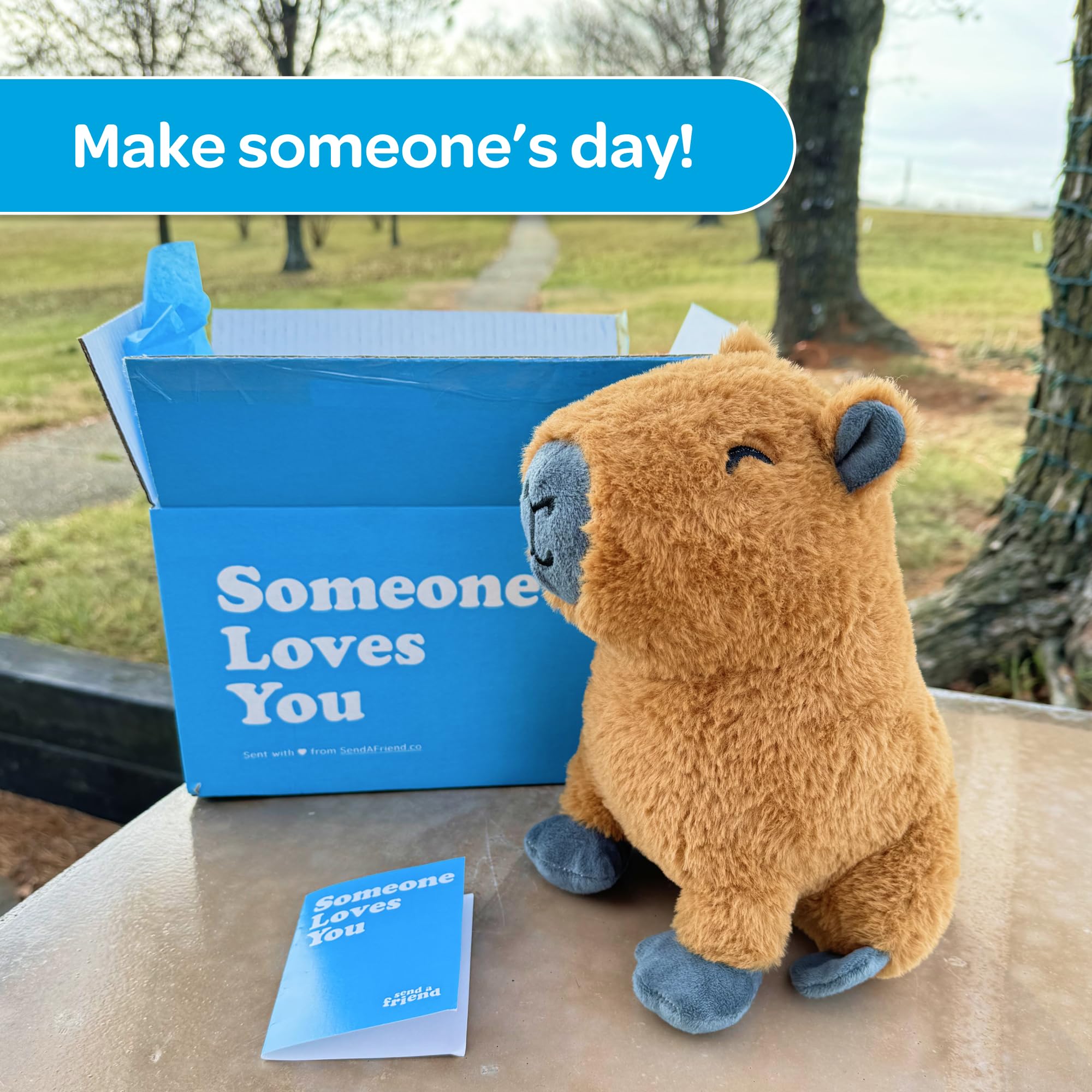 SendAFriend Crouton the Capybara Pflegepaket | Geburtstags-Notizkarte, Plüschtier, 25,4 cm, Unterschrift "Someone Loves You", blaue Box, fertig zum Verschenken