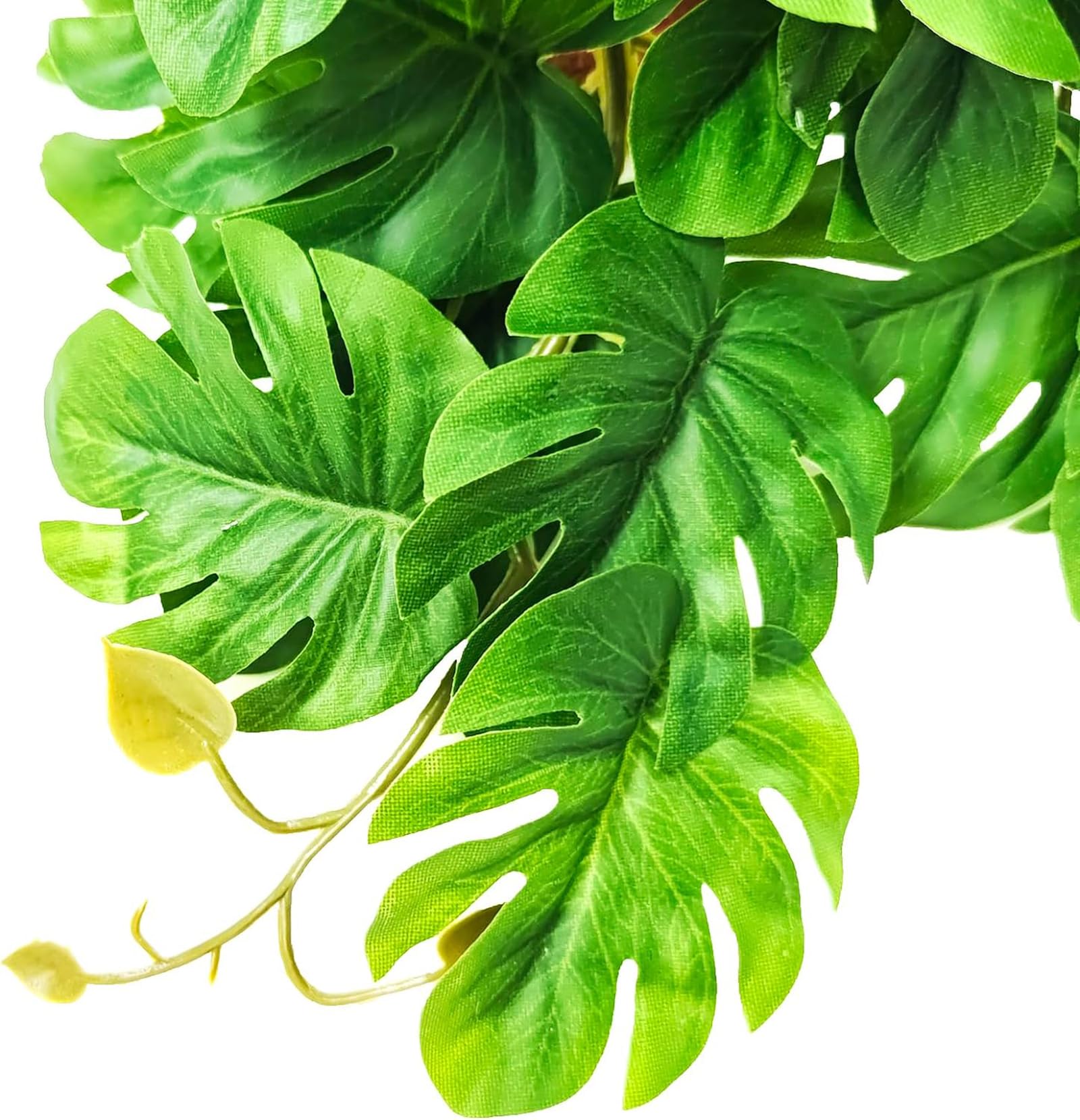 Woyrise Plantas de reptiles para terrario, plantas colgantes artificiales con ventosas, decoración de hábitat de tanque de anfibios, planta de plástico para dragones barbudos, lagartos, serpientes