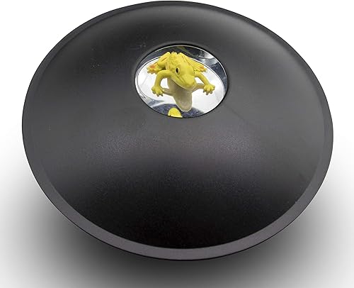 3D Mirascope instantánea ilusión fabricante holograma creador de imagen divertido juguete regalo