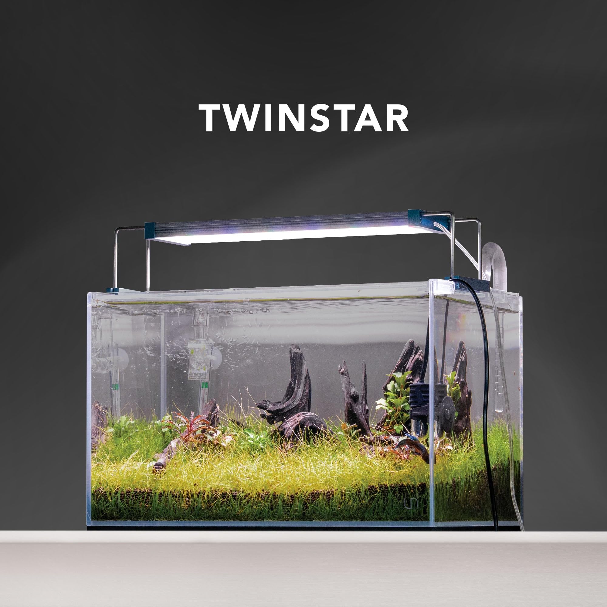 Amazon.com : Twinstar E Line V Series Aquarium Light - Full