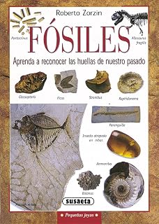 Fosiles: Aprende a Reconocer las Huellas de Nuestro Pasado