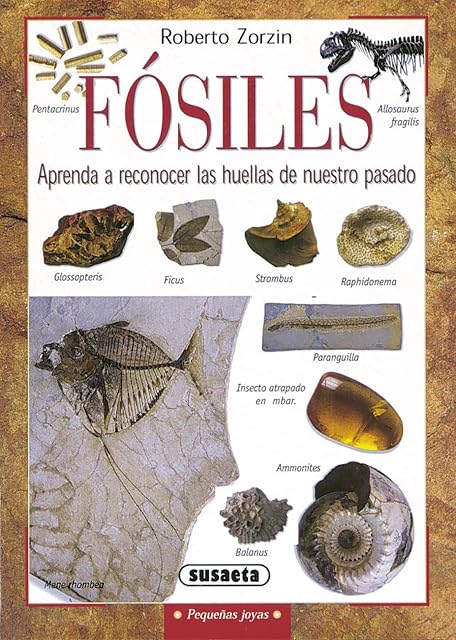 Portada de Fosiles: Aprende a Reconocer las Huellas de Nuestro Pasado