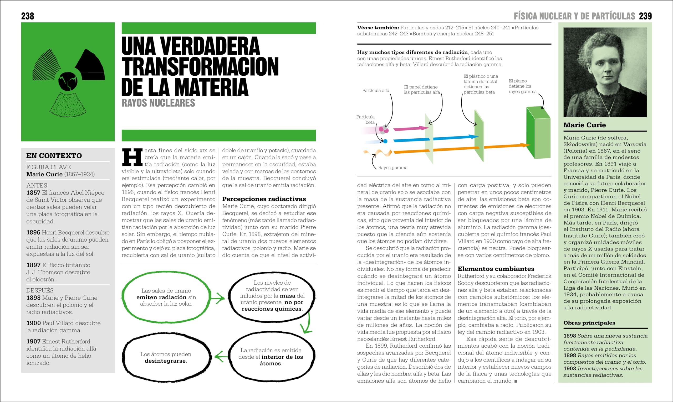 El libro de la fisica (The Physics Book) (DK Big Ideas) (Spanish Edition) - Image 4