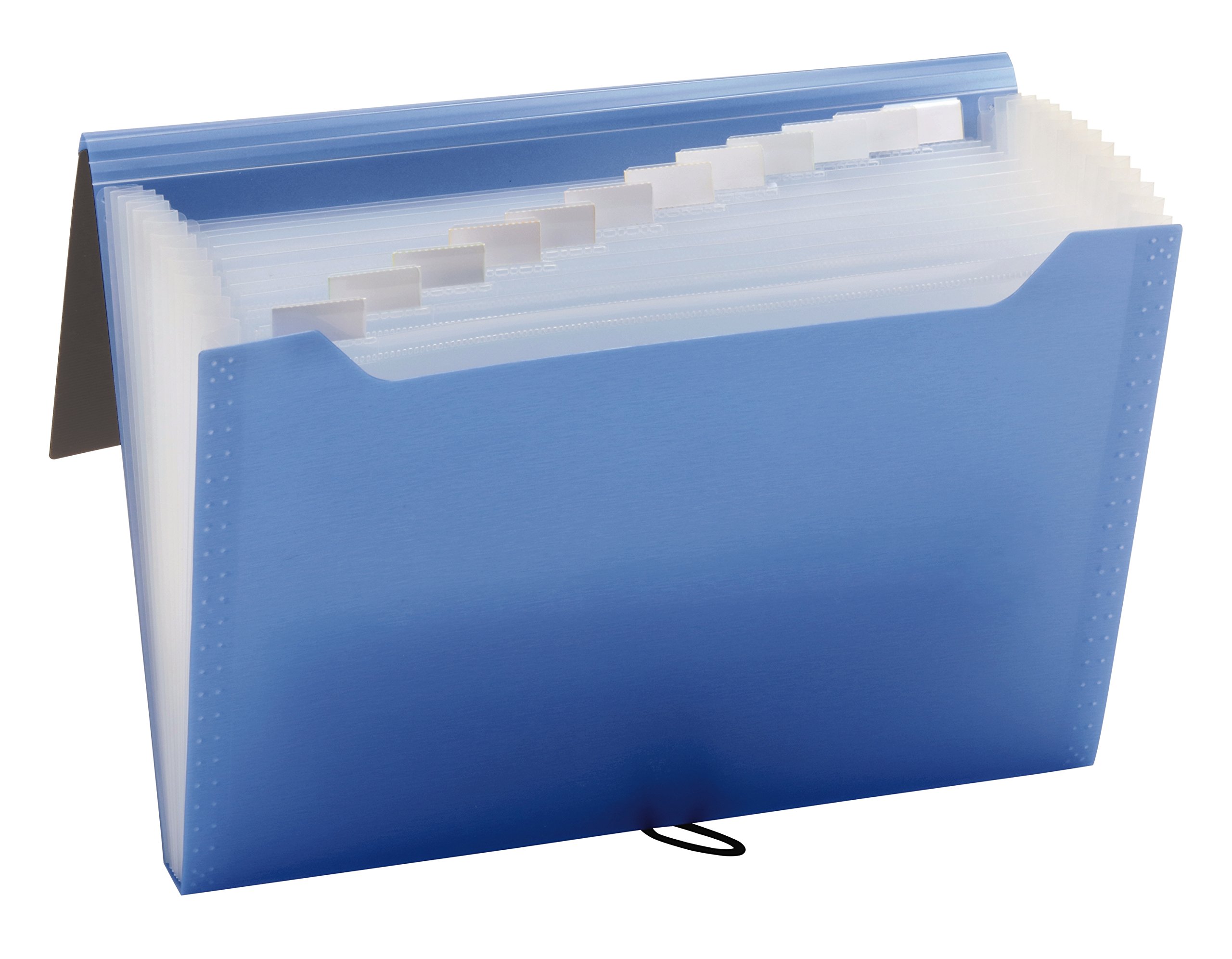 Pendaflex 82113 - Archivador profesional de 13 bolsillos, tamaño de letra, varios colores