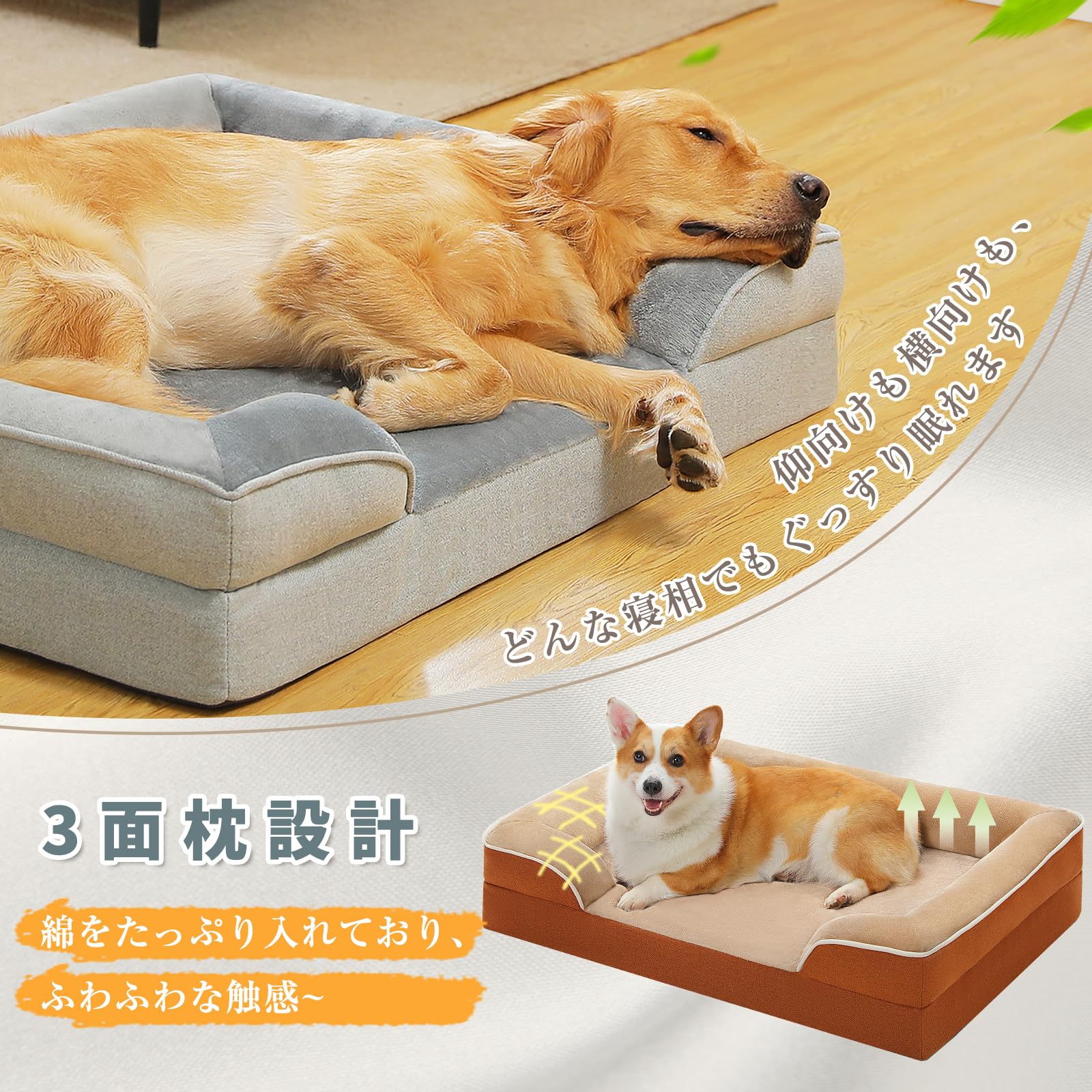 リラックスしている犬 No laughter] The song that the dog sleeps iknow tiktok The