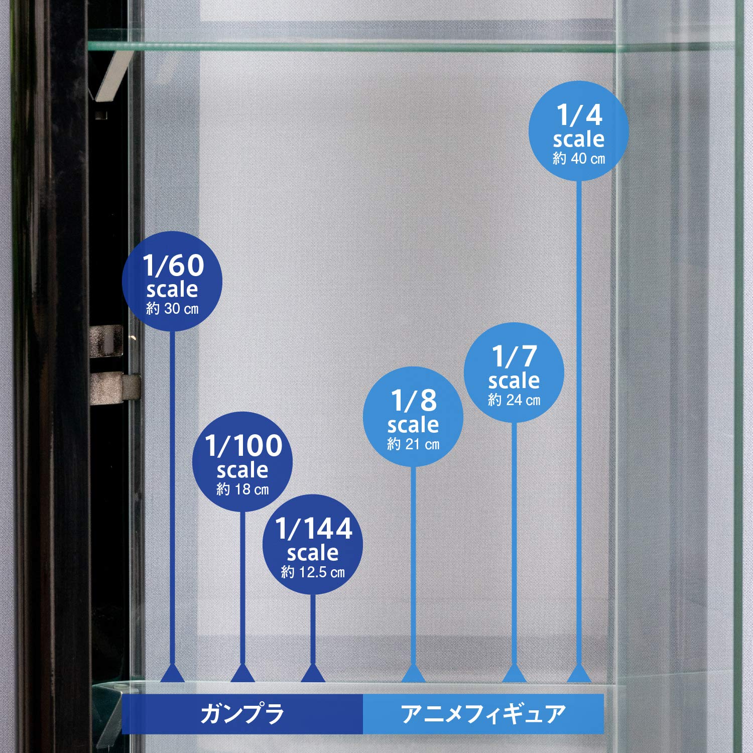 Amazon.co.jp: 不二貿易 コレクションケース フィギュアケース 4段 幅