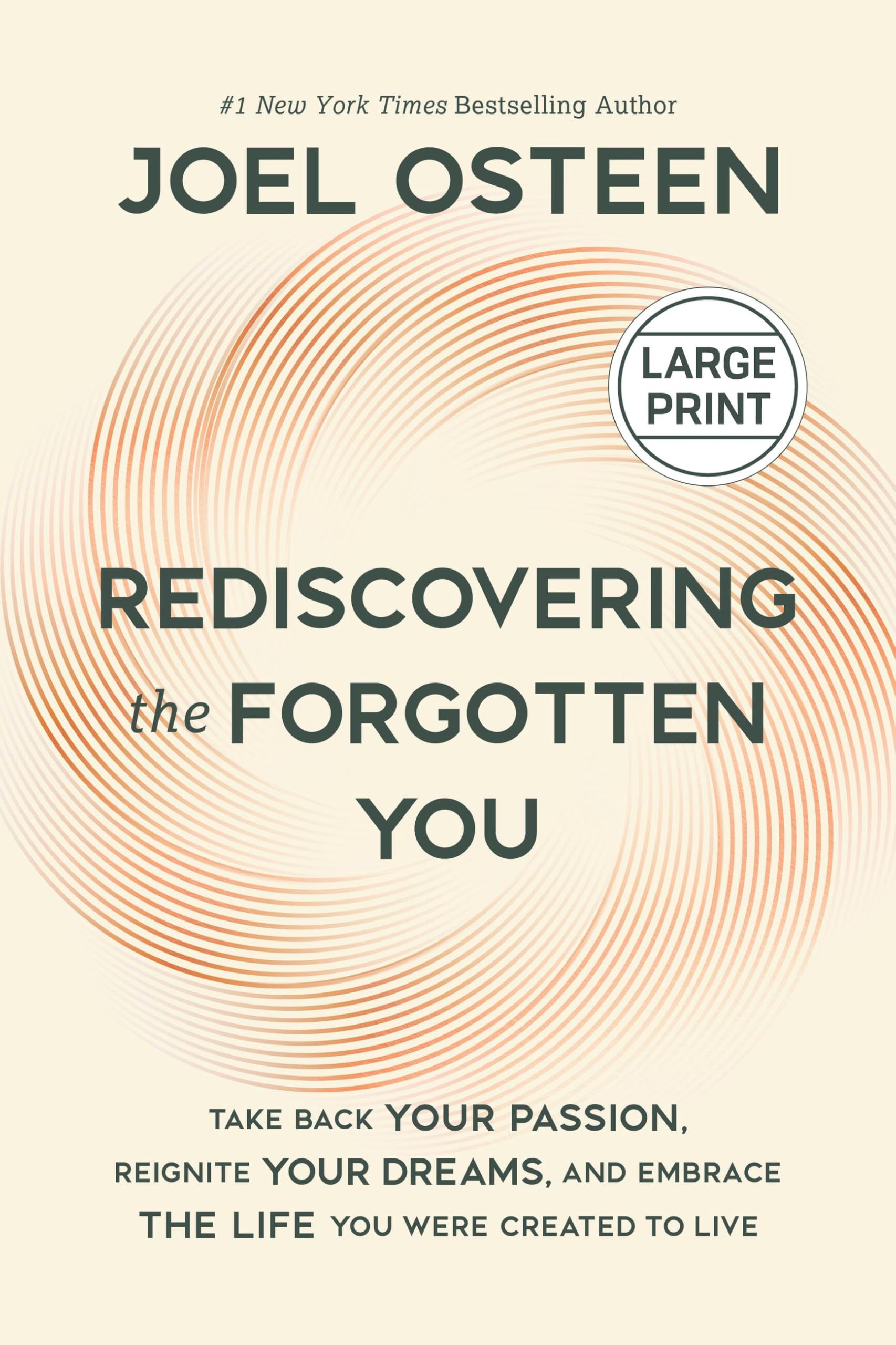 Rediscovering the Forgotten You: Take Back Your Passion, Reignite Your Dreams, and Embrace the Life You Were Created to Live