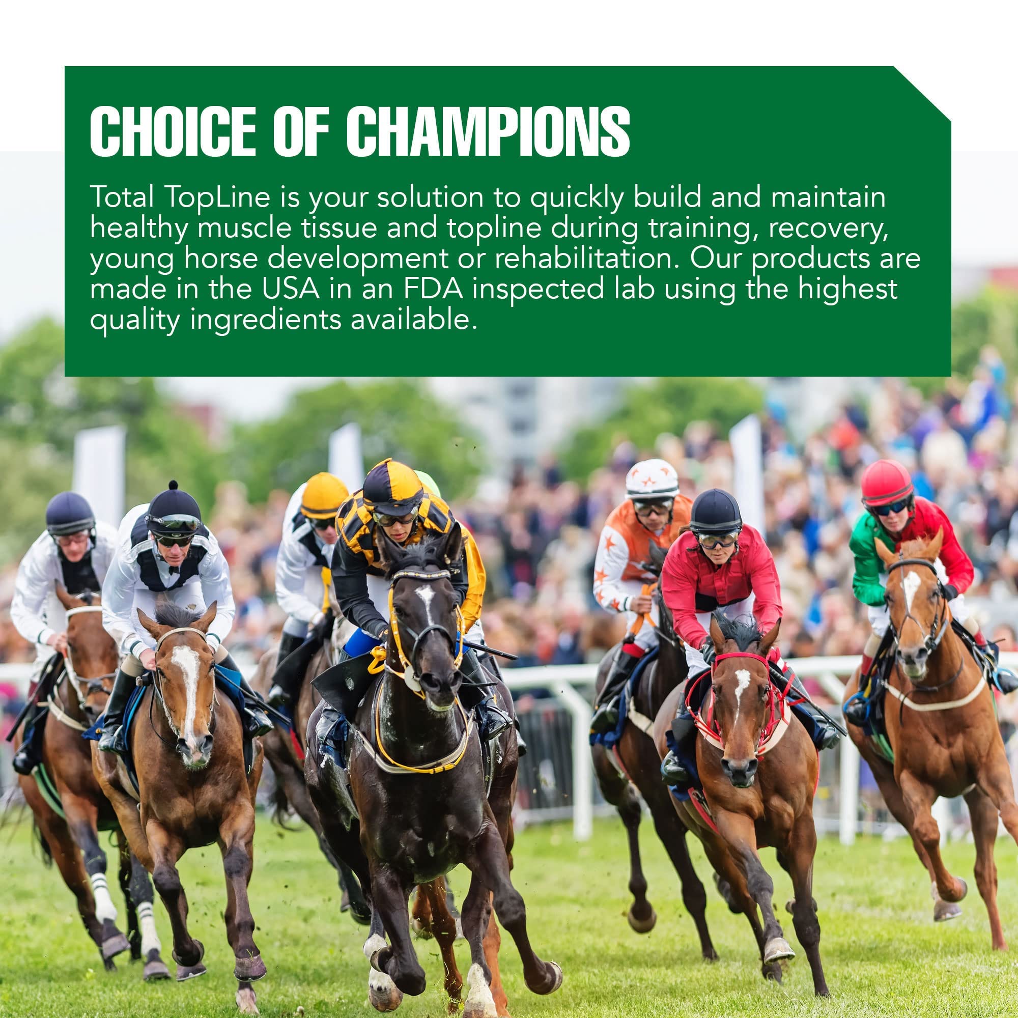 Ramard Total Topline Powder Horse Supplements Performance Equine