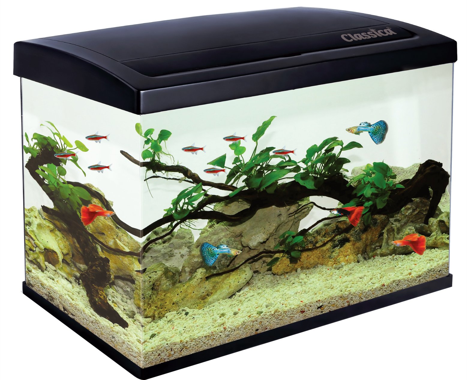 Buy CLASSICA ECO 45 AQUARIUM 45L FISH TANK KIT LED LIGHTING, FILTER