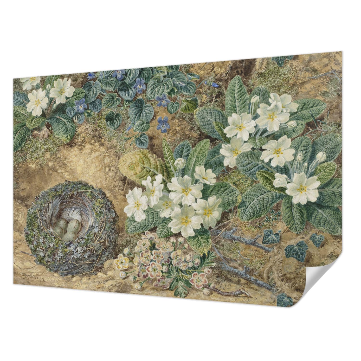 Papier Peint Autocollant pour Salon et Chambre Décor Printanier