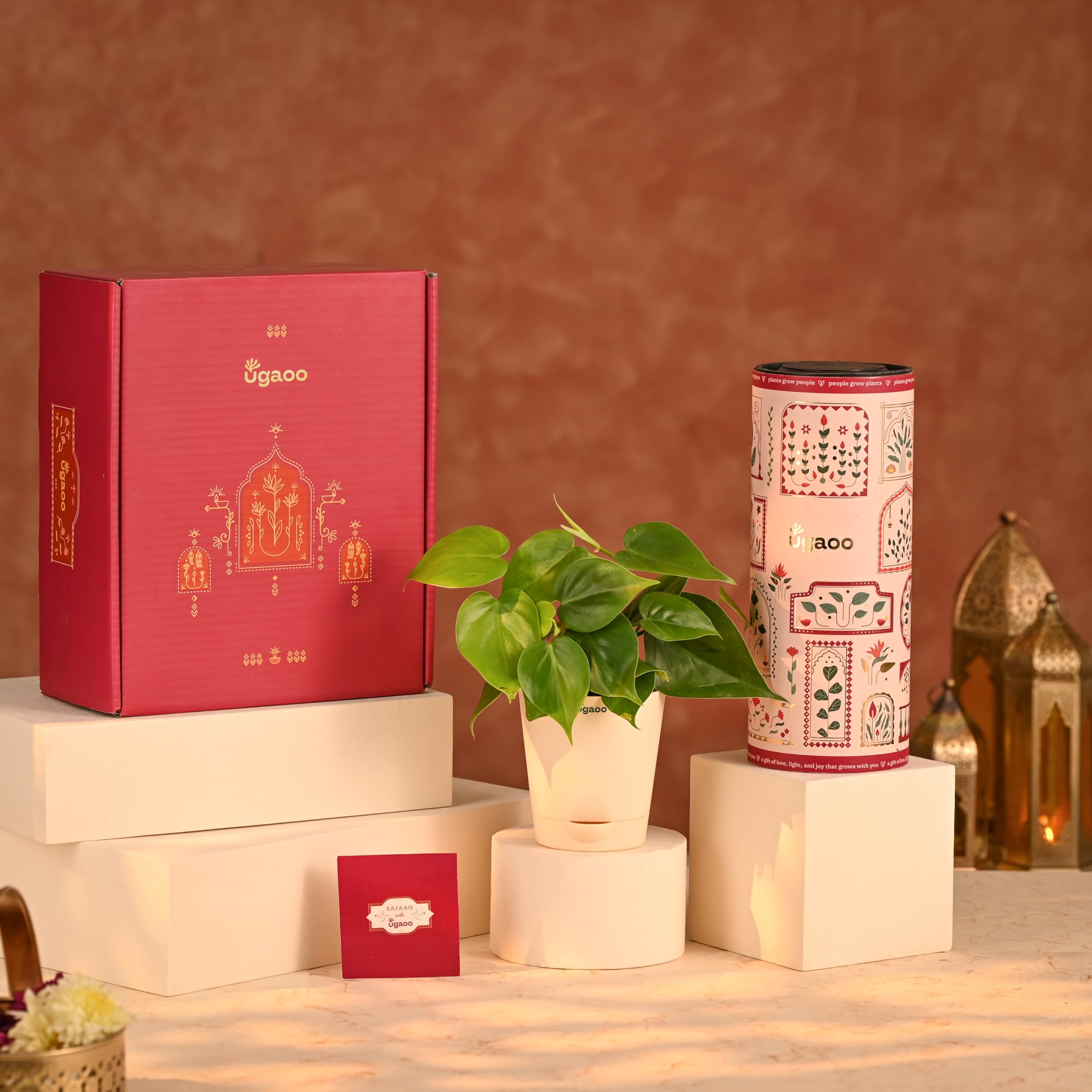 UGAOO Diwali Hamper 5-image-11