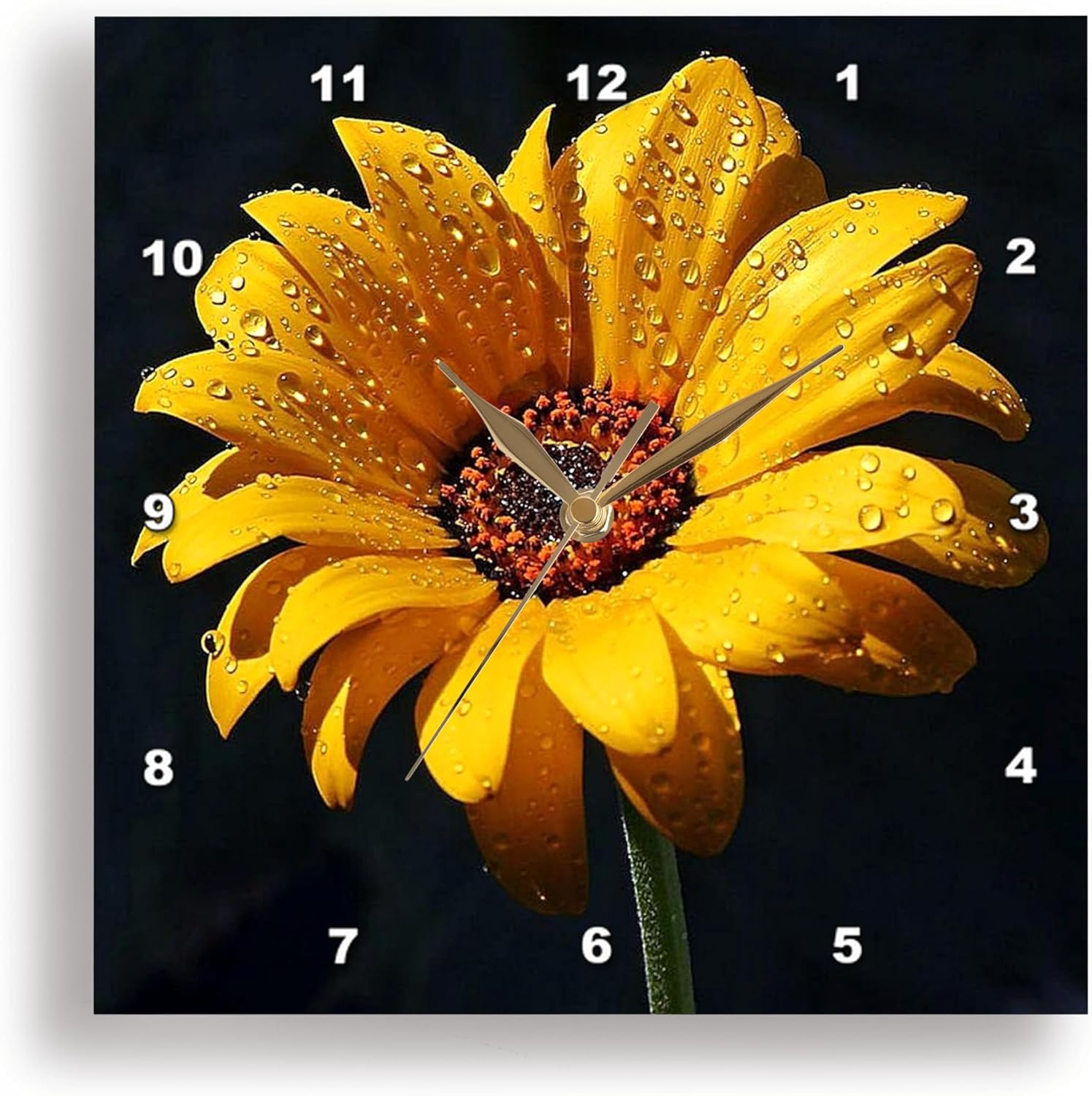 3dRose Dew on Sunflower Against Black Backdrop.Jpg - Wall Clock, 15 by 15-Inch (DPP_98576_3)