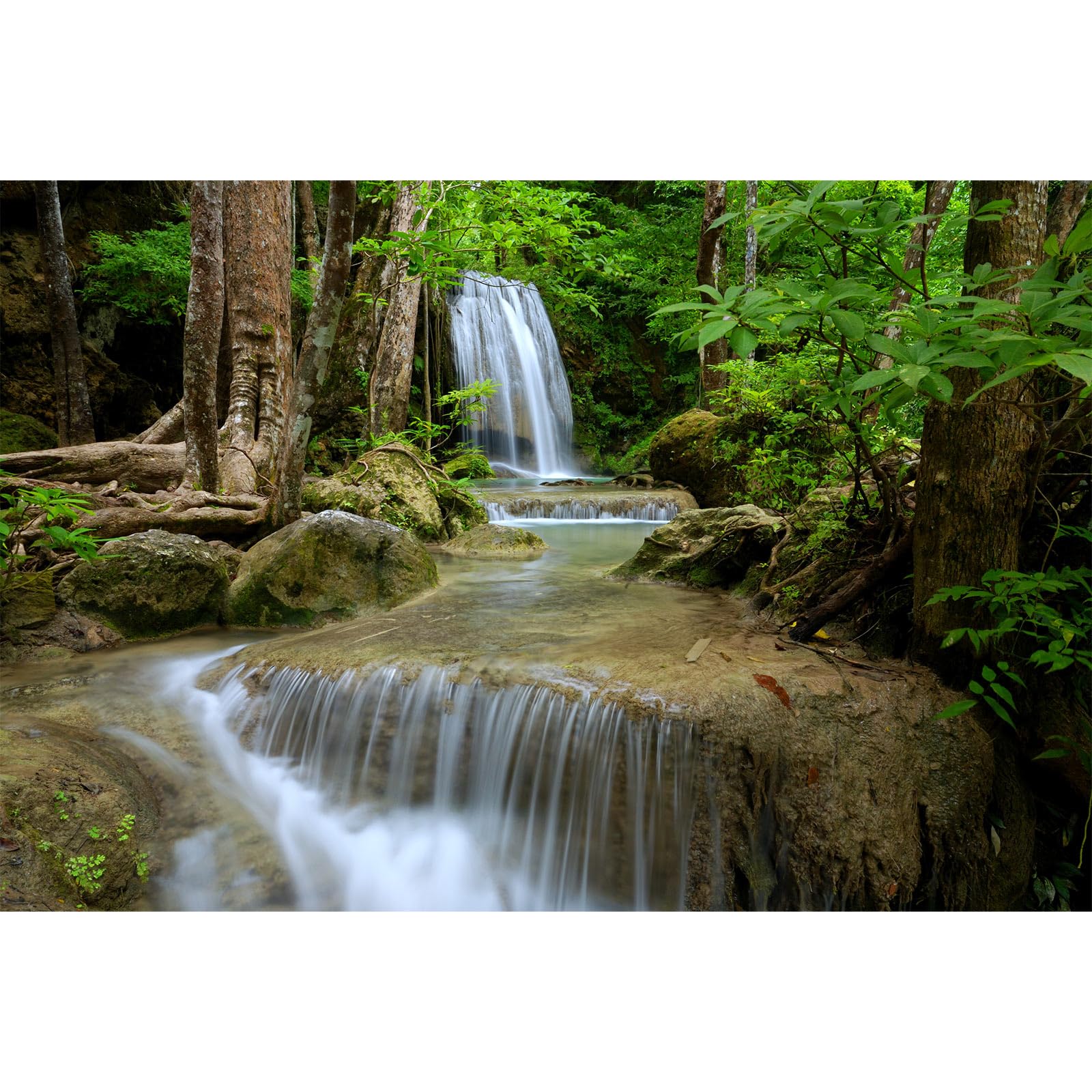 Waterfall Aquarium Background Natural Jungle Rainforest Landscape Terrarium Background Jungle Waterfall Style Stream Fish Tank Background Falls Forest Rocks Reptile Background Vinyl 30x12in
