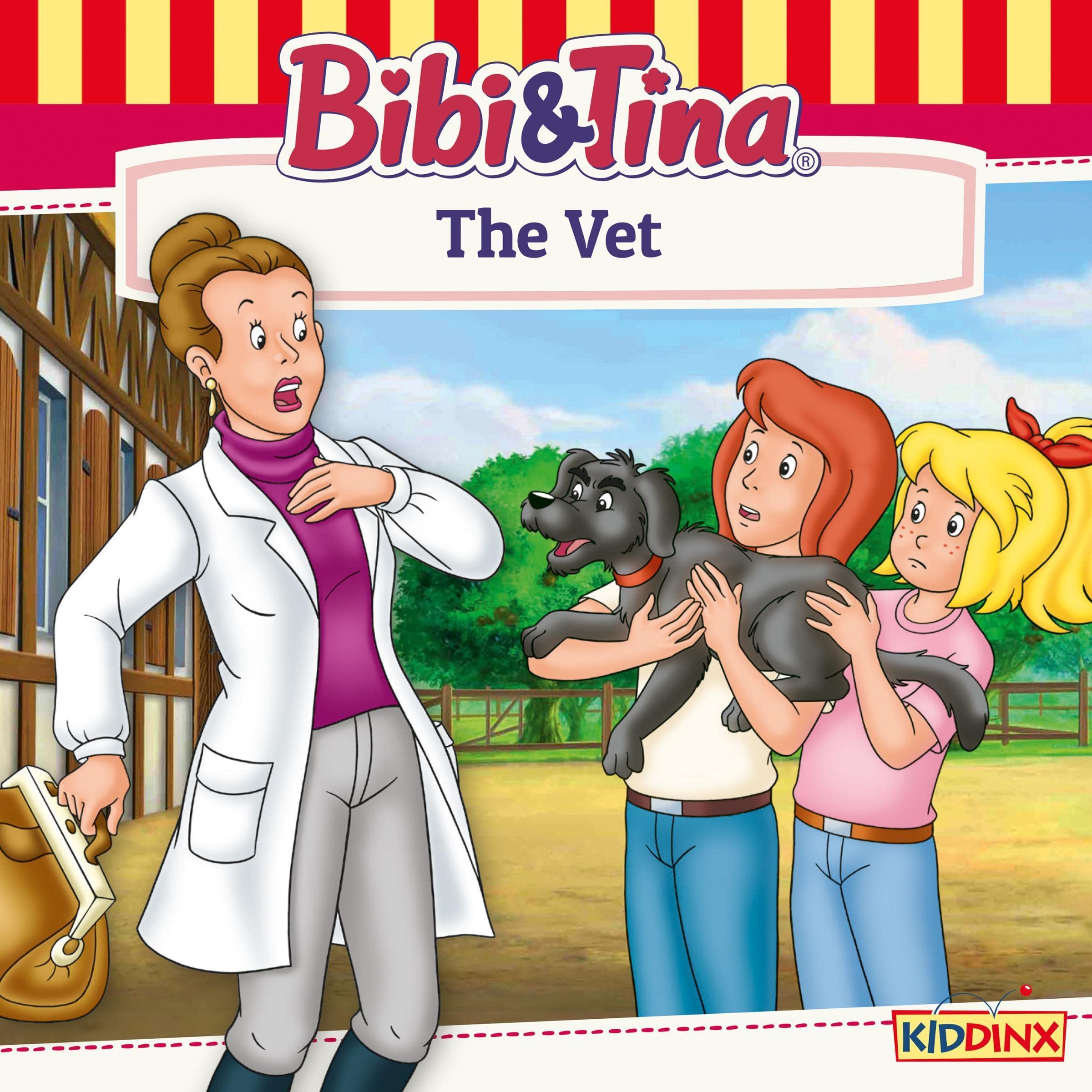 Cover art for The Vet