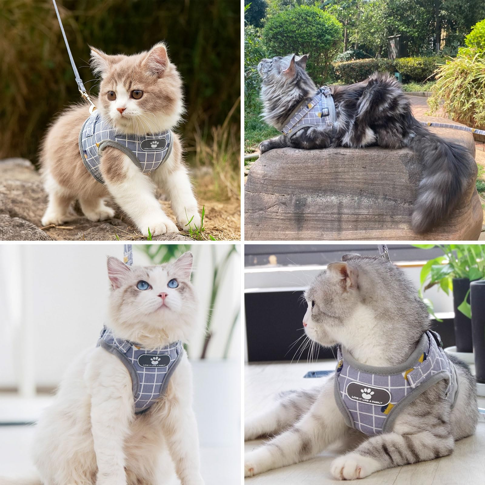 Set pettorina e guinzaglio gatto catarifrangente rete traspirante regolabile 5 m grigio S
