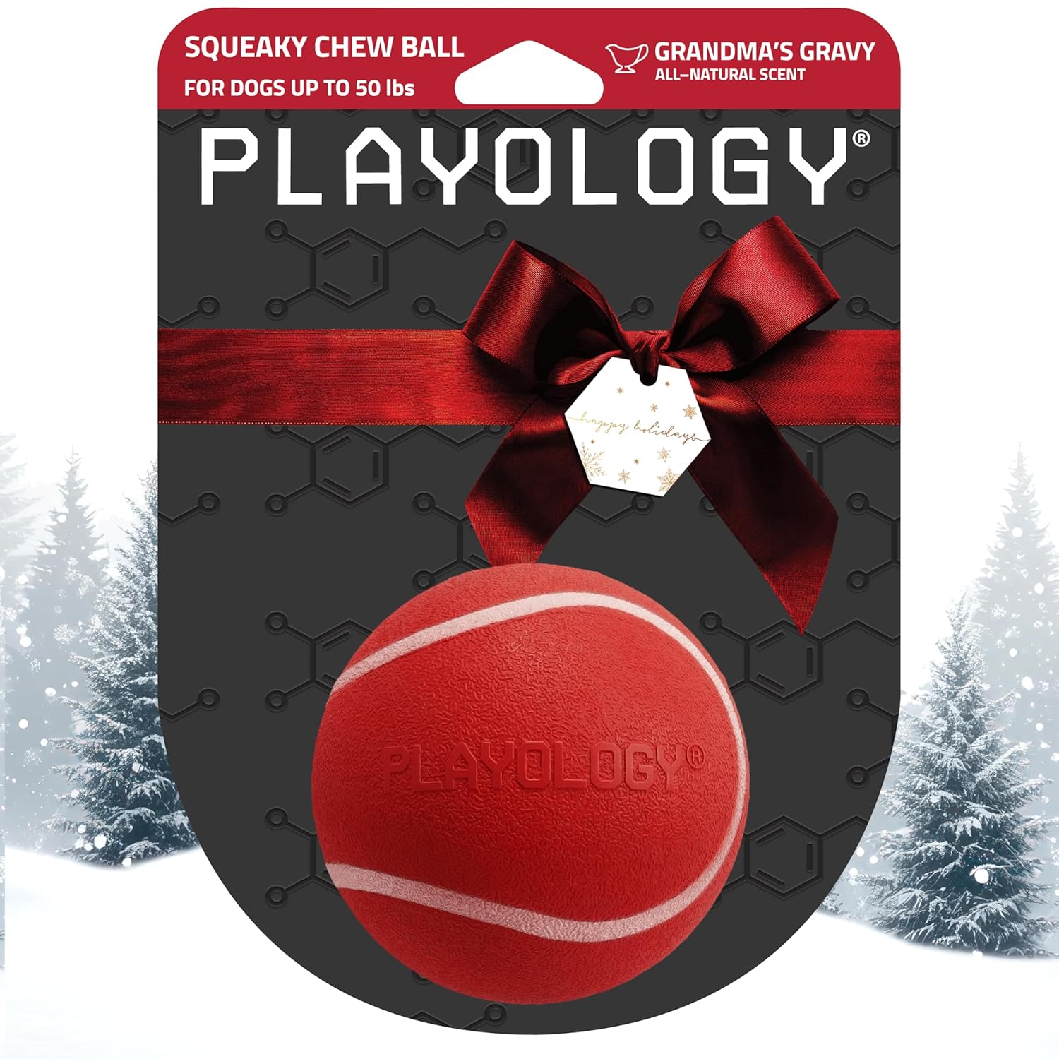 Playology Dog Toys Squeaky Chew Ball - Bouncy Durable Floating Fetch Ball for Dogs Medium Grandmas Gravy Scented