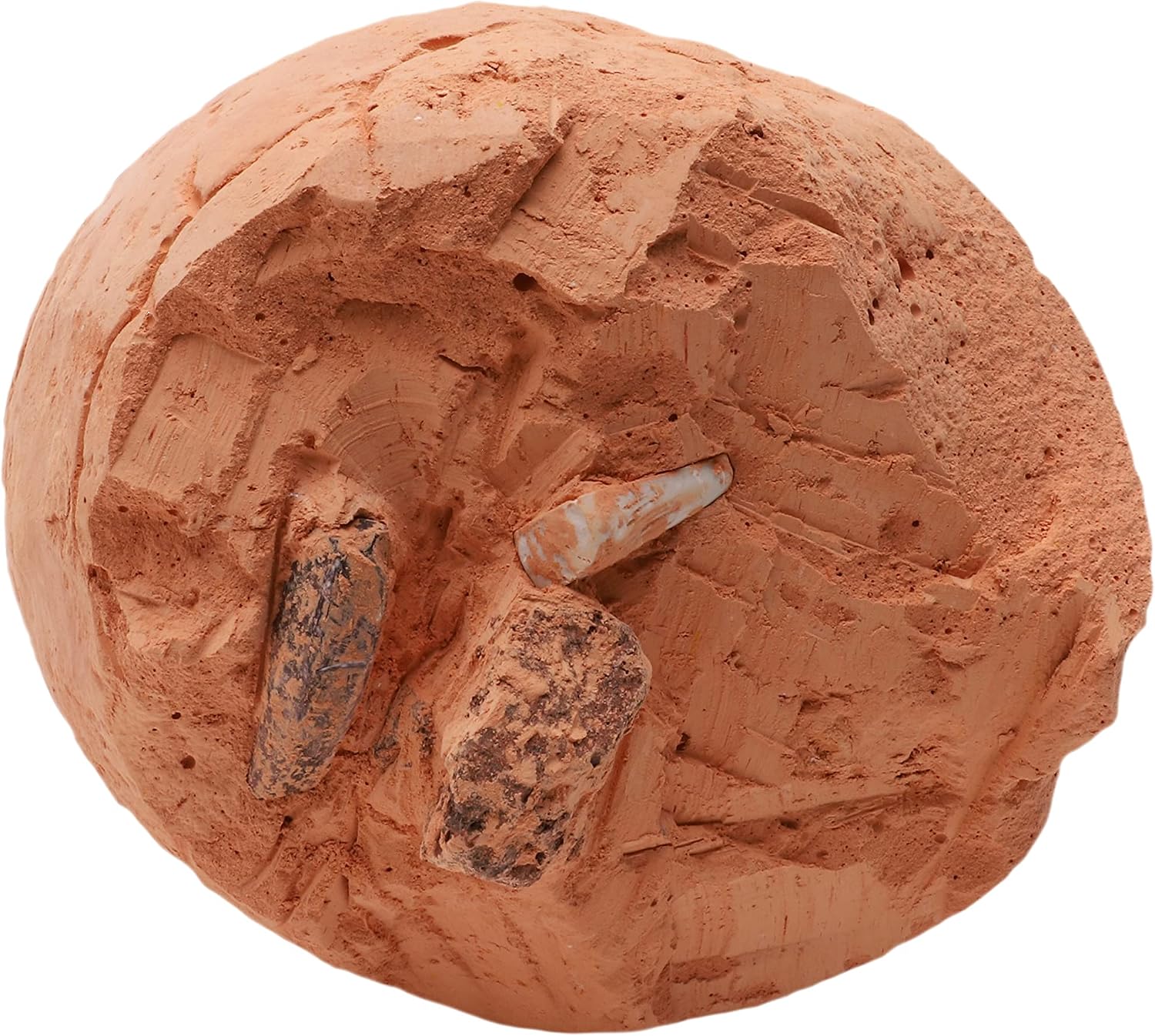 Toyland® Dinosaur Egg Smash Toy - Excavate & Discover - 5 Surprises To Discover - Dinosaur Toys, Medium - Image 3