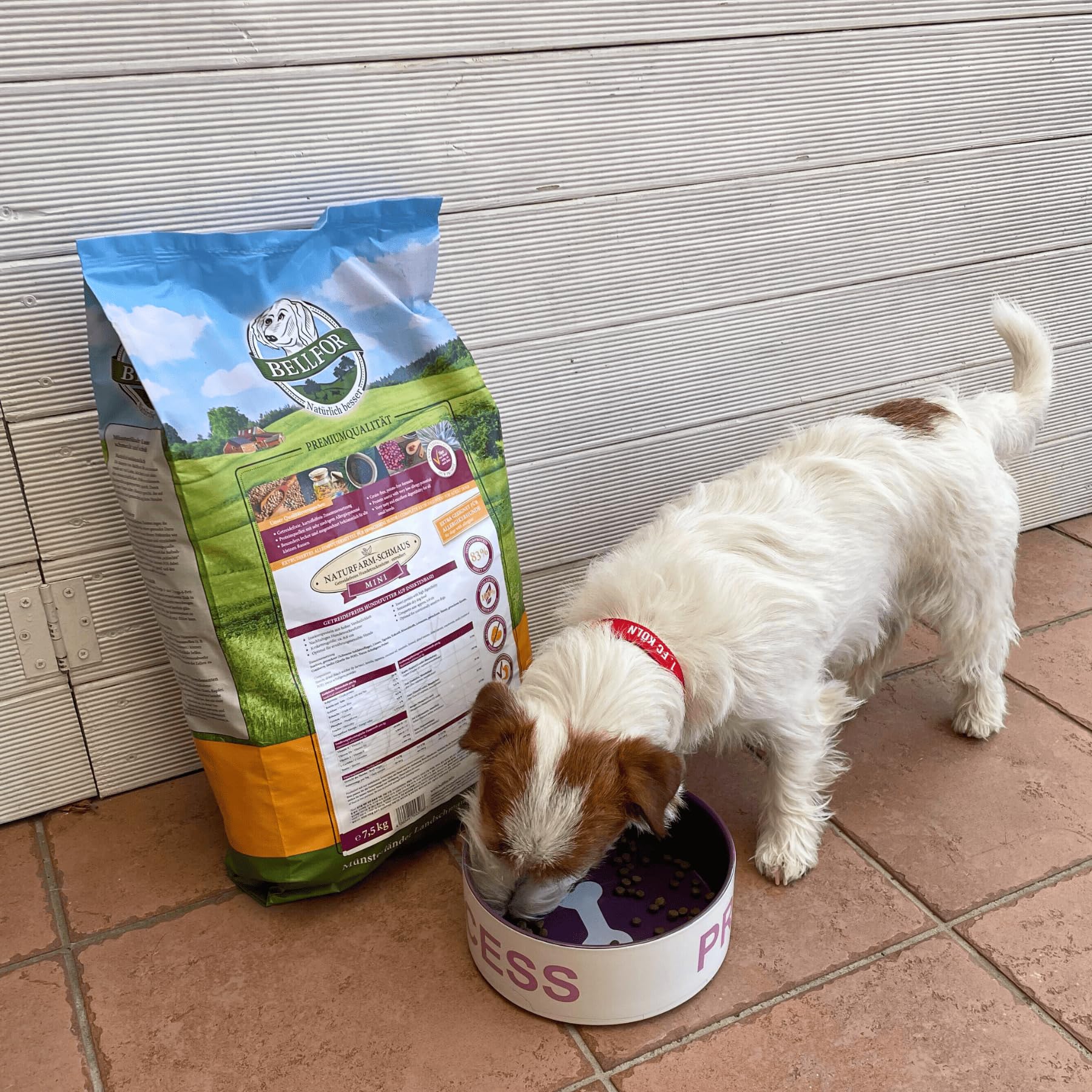Bellfor Naturfarm-Schmaus Mini Pienso hipoalergénico sin Cereales para Perros con Insectos de 7,5 kg - para Razas pequeñas, Altamente digestible y sin subproductos Animales