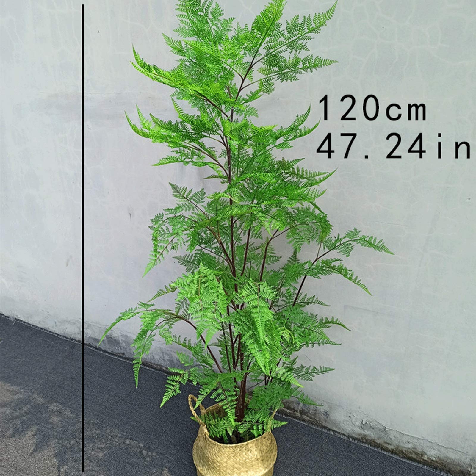 天然着生シダ 木の幹付き 　直径約24cm　長さ60cm Amazon.co.jp: 屋内人工樹木 人工シダの木47インチの柔らかい植物の