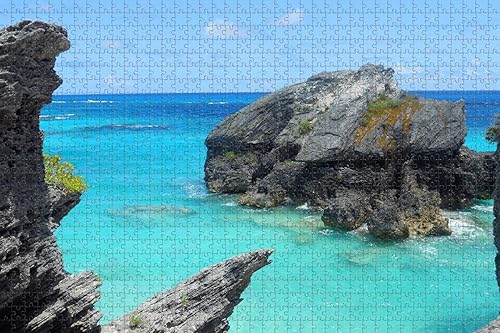 Miniatura 8 de Chicago Night Illinois USA Rompecabezas para adultos 1000 piezas de madera regalo de viaje recuerdo