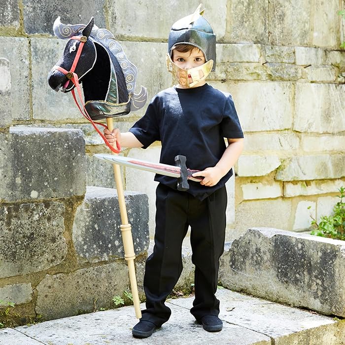 Buy Boys Hobby Horse Medieval Knight Set Fancy Dress Costume One Size