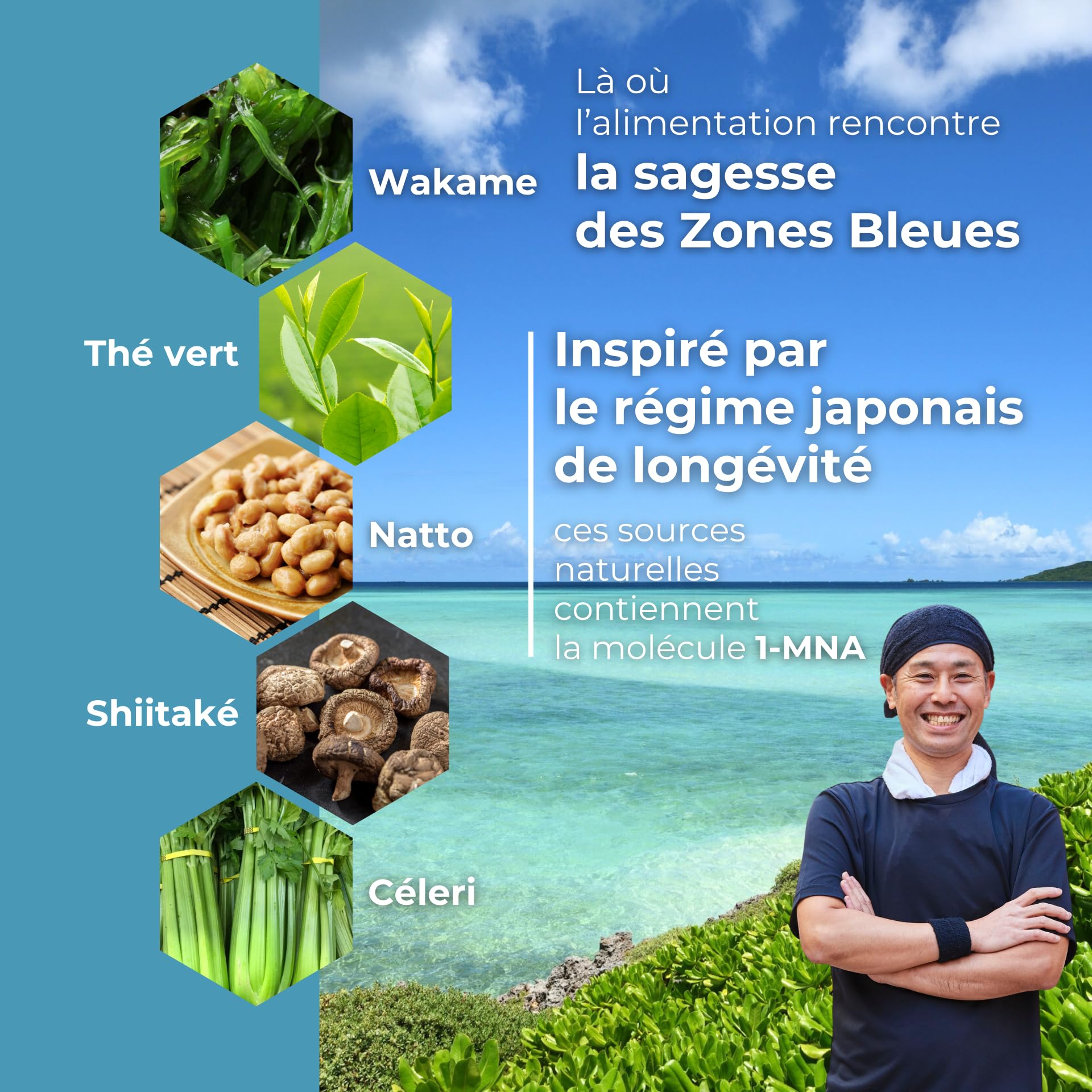 1-MNA Brain, Supplément Anti-âge, Optimise le NAD+, avec Ginkgo Biloba, Zinc, Biotine, Vitamines C, B1, B5, B6, B12, L'humeur, Mémoire, Concentration, 30 Capsules