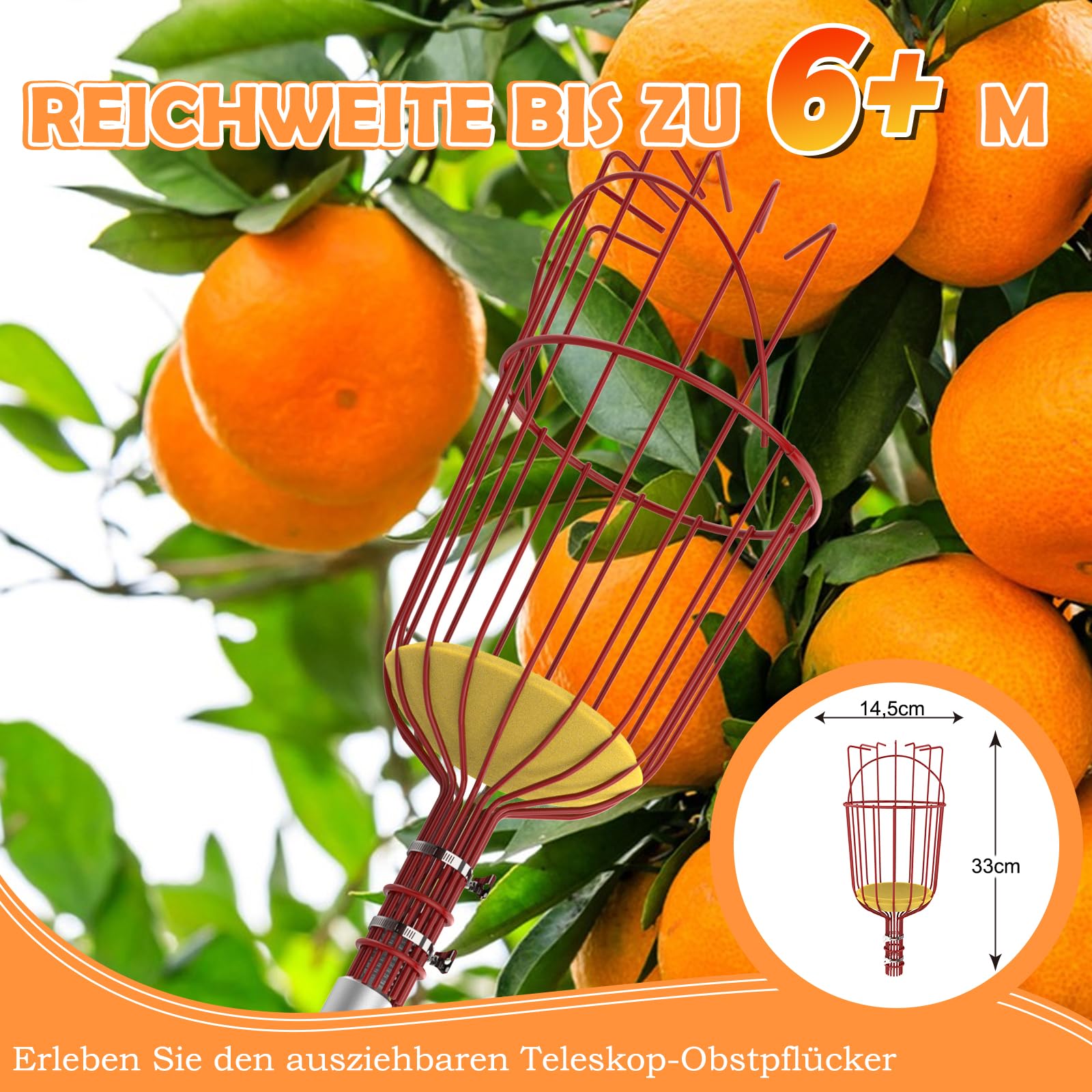 SISIUPASSIE 6m Obstpflücker mit Teleskopstiel – Apfelpflücker mit Großraum-Obstkorb, Pflückhilfe zum Pflücken von Äpfeln, Zitronen, Orangen, Mangos, Avocados