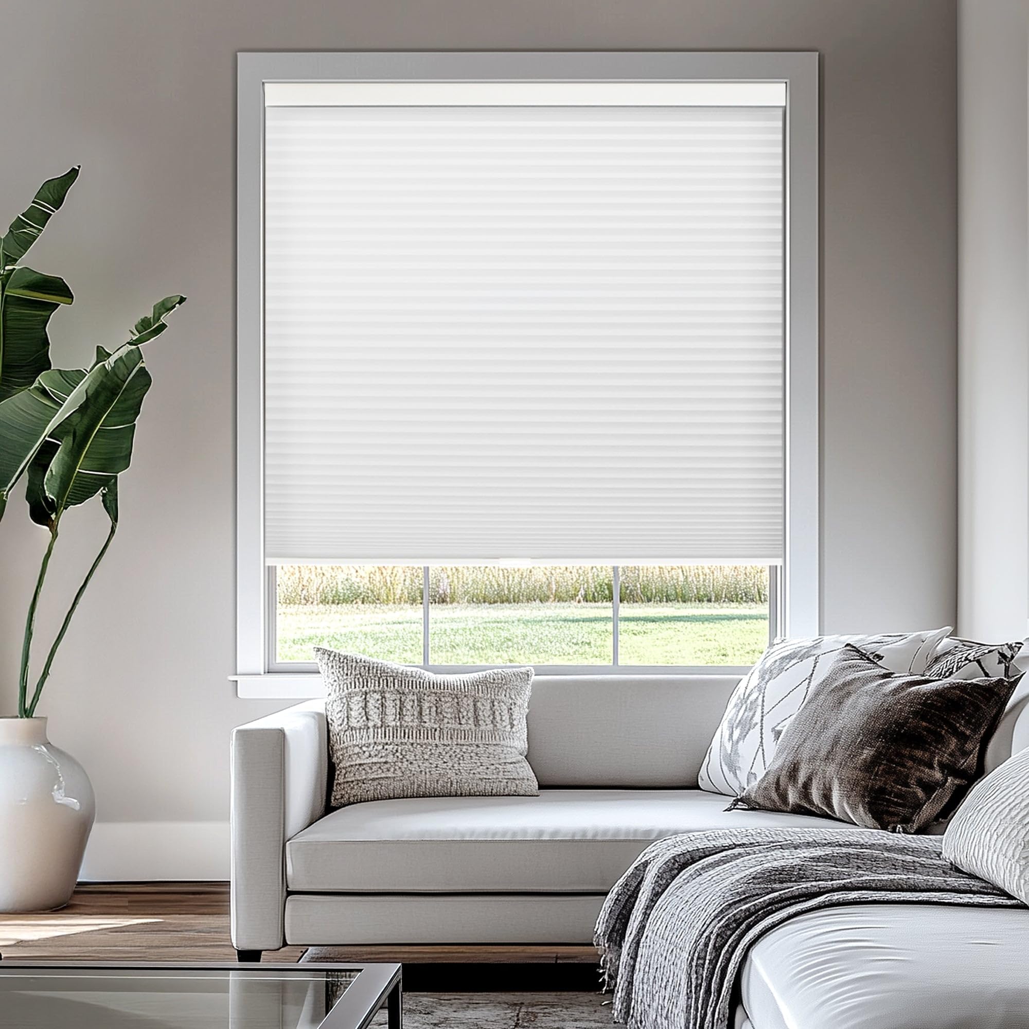 CHICOLOGY Cordless Cellular Shades Privacy Single Cell Window Blind, 24"W X 72"H, Morning Mist