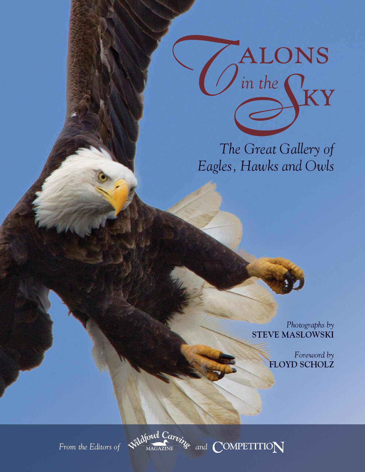 Amazon.co.uk: Wildfowl Carving Magazine: books, biography, latest