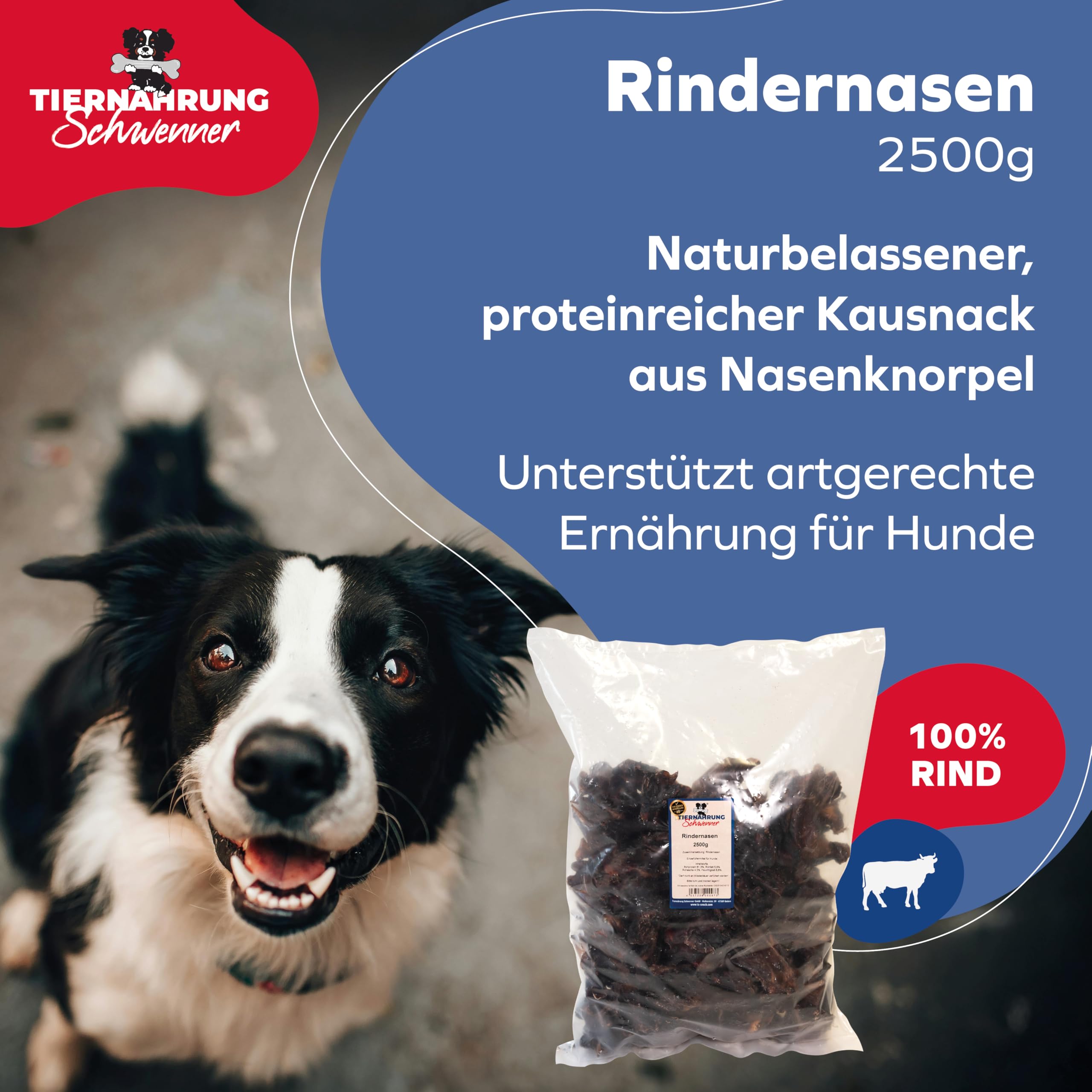 Schwenner nariz de ganado seca – Perros masticables para perros pequeños y medianos – golosinas para perros – 2500 g