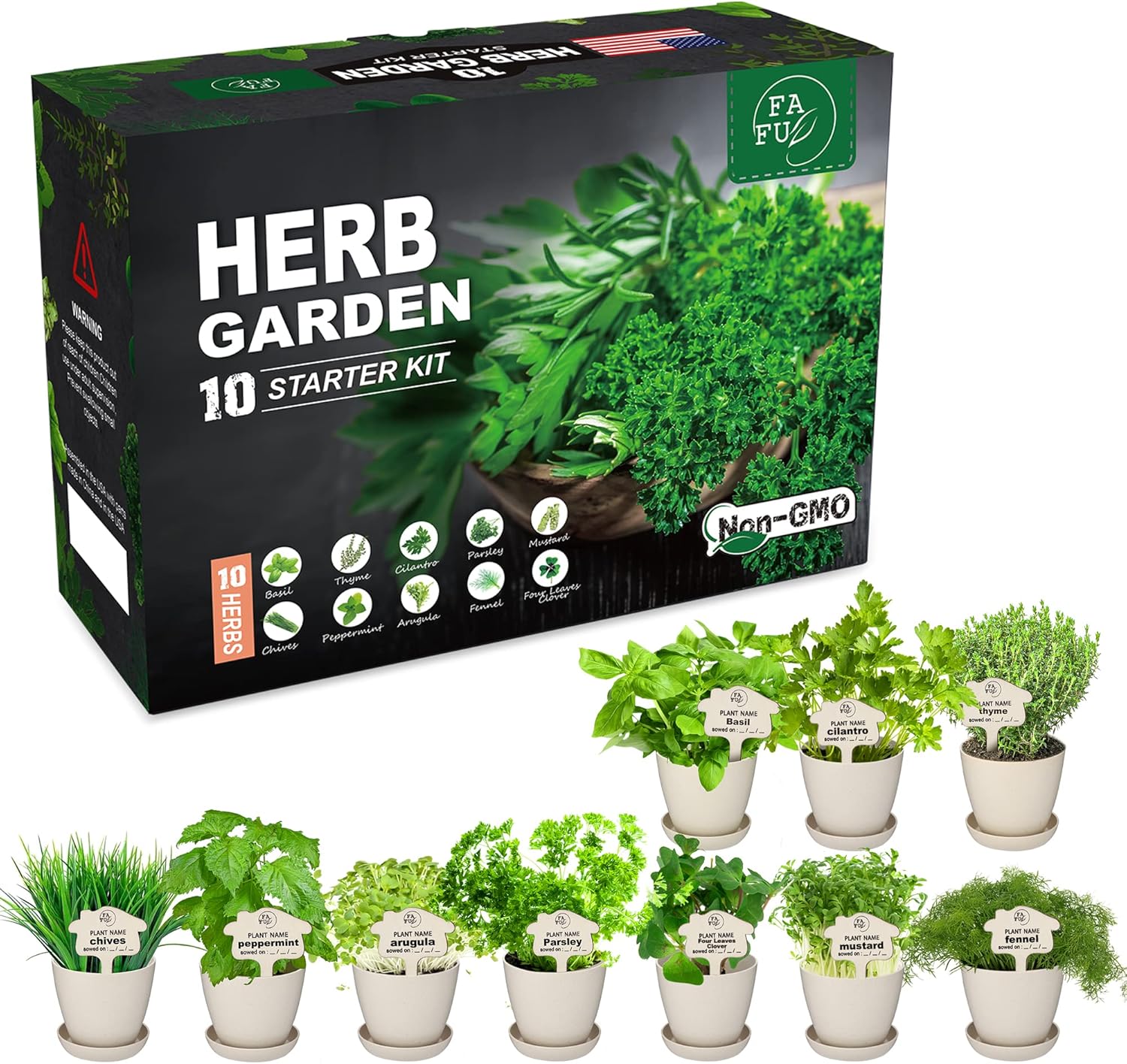 Indoor Herb Garden Starter Kit 6 Herb Seeds Growing Kit