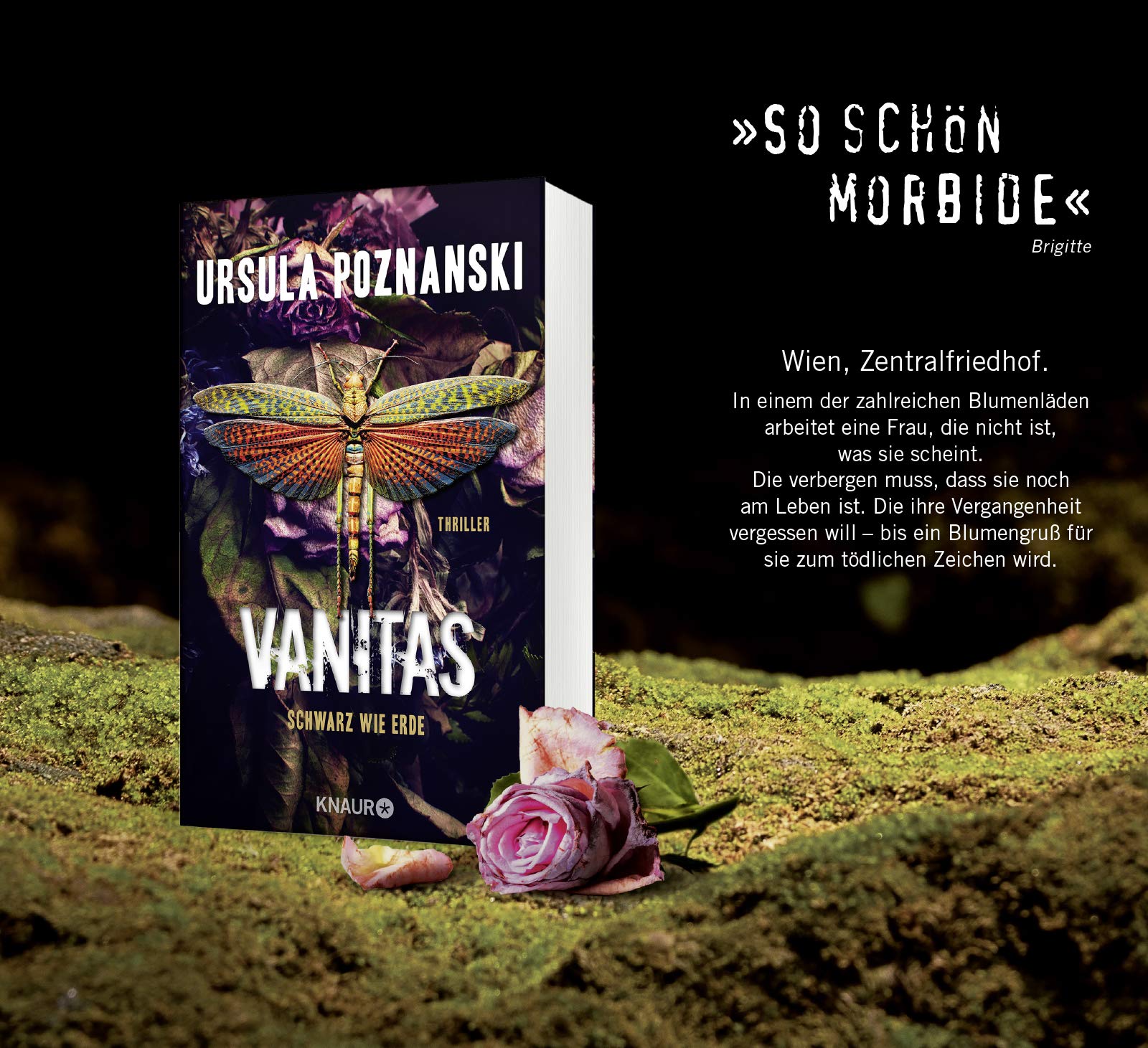 VANITAS - Grau wie Asche: Thriller (Die Vanitas-Reihe, Band 2)