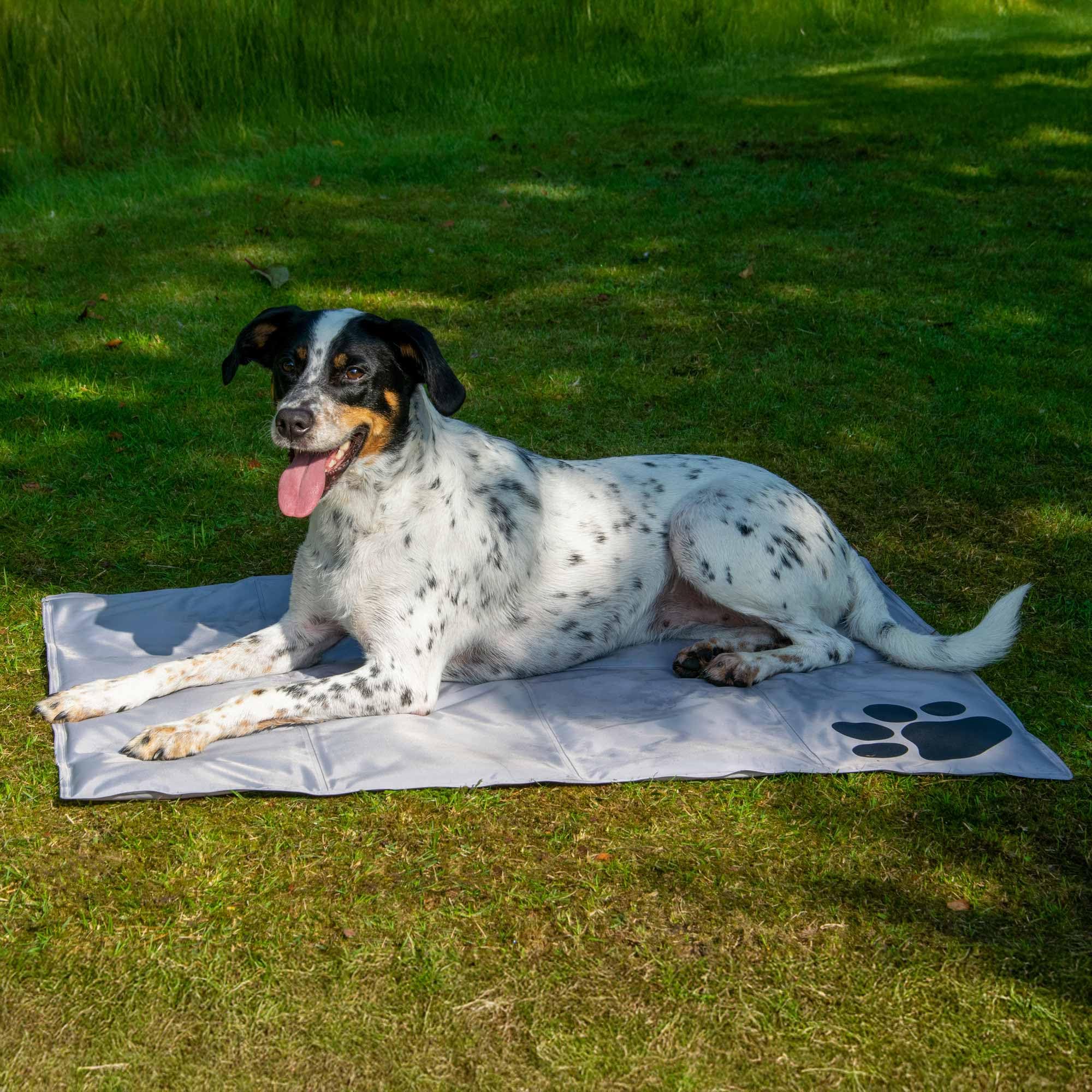 dobar® 60422 Tappetino rinfrescante per Cani – Tappetino refrigerante per Cani e Gatti – Tappetino autolaffreddante per Animali Domestici – Coperta per Cani con Imbottitura in Gel Freddo – Coperta