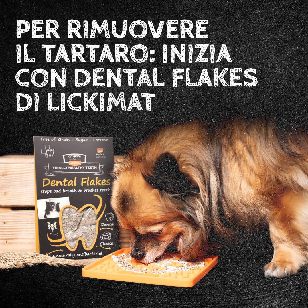 QCHEFS Dental Flakes per Cani - Snack per la Cura dei Denti - Rimuovere Il tartaro - per Chi soffre di allergie - Contro l'alito Cattivo e Le gengiviti - Antibatterico
