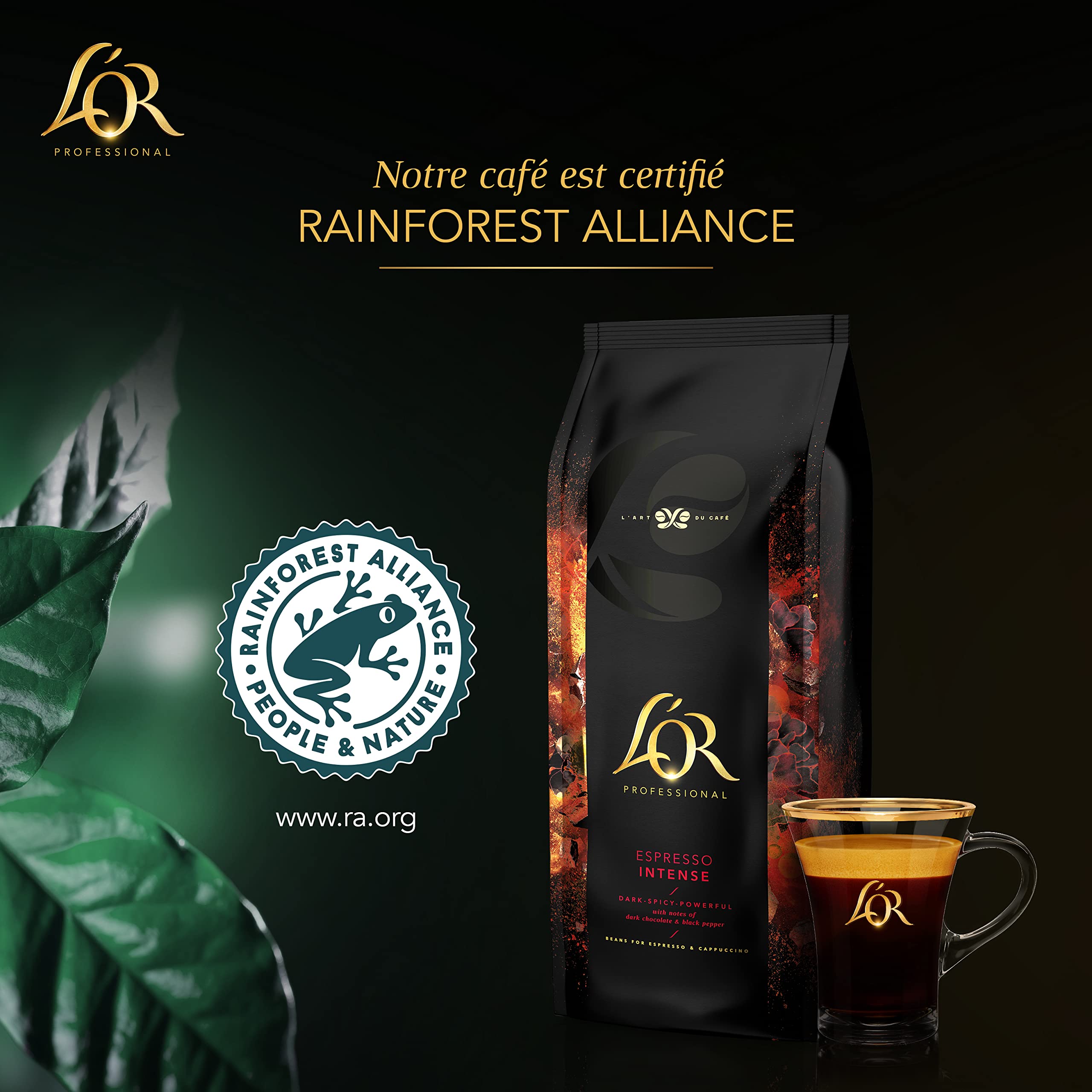 L'OR Professional, 1Kg de Café en Grains Espresso Intense Certifié Rainforest