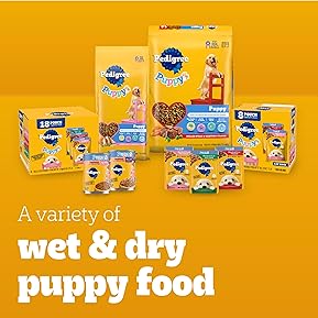 How to Choose the Best Puppy Food: Veterinarian-Approved 3